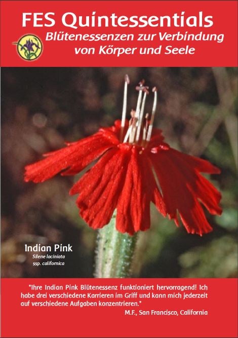 FES Quintessentials Broschüre (édition allemande) - Gratuit
