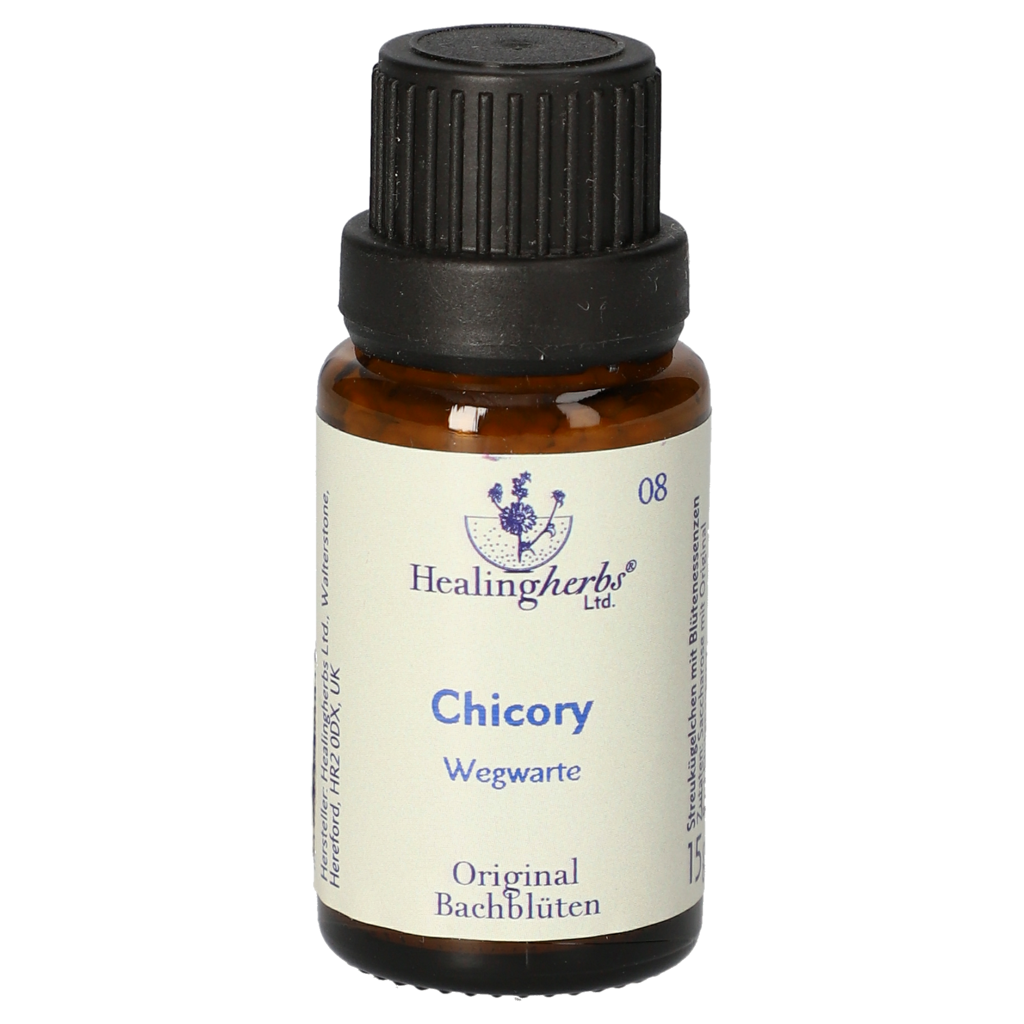Chicory (Wegwarte, Zichorie) Globuli