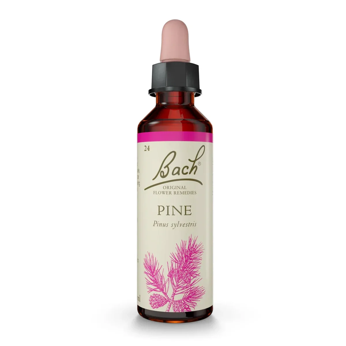 Bach Original® Pine (Pin Sylvestre) Nr.24 Bach Original® Pine (Pin Sylvestre) Nr.24