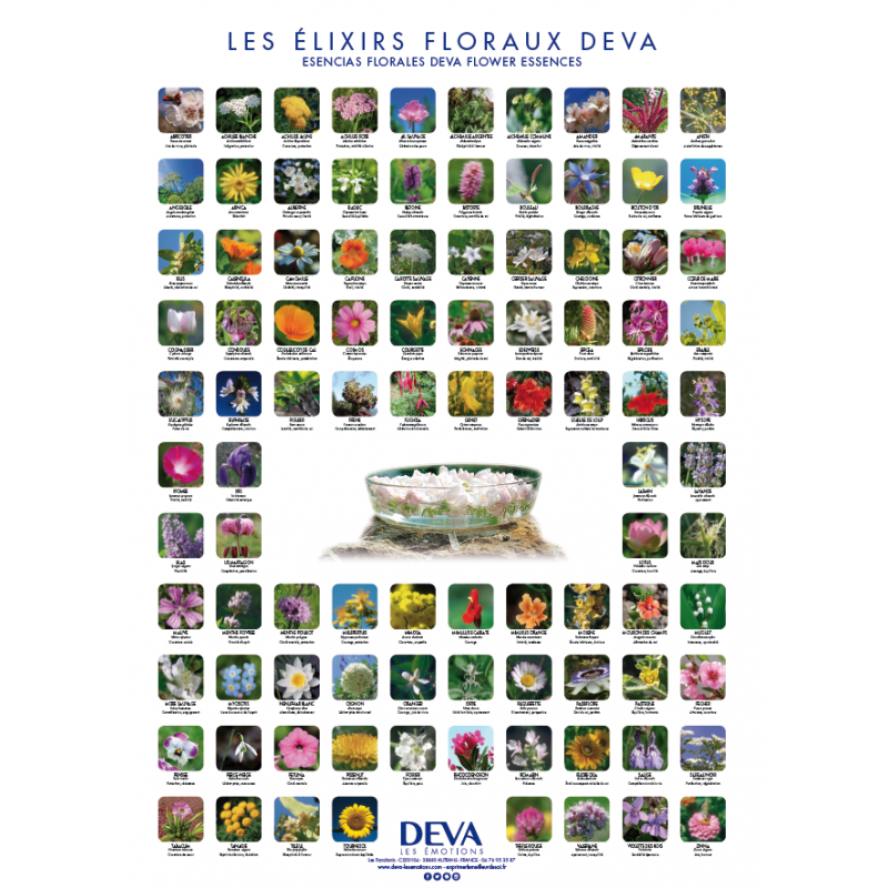 Poster des 96 Elixirs Floraux DEVA (Französische Ausgabe) Poster des 96 Elixirs Floraux DEVA (Französische Ausgabe)