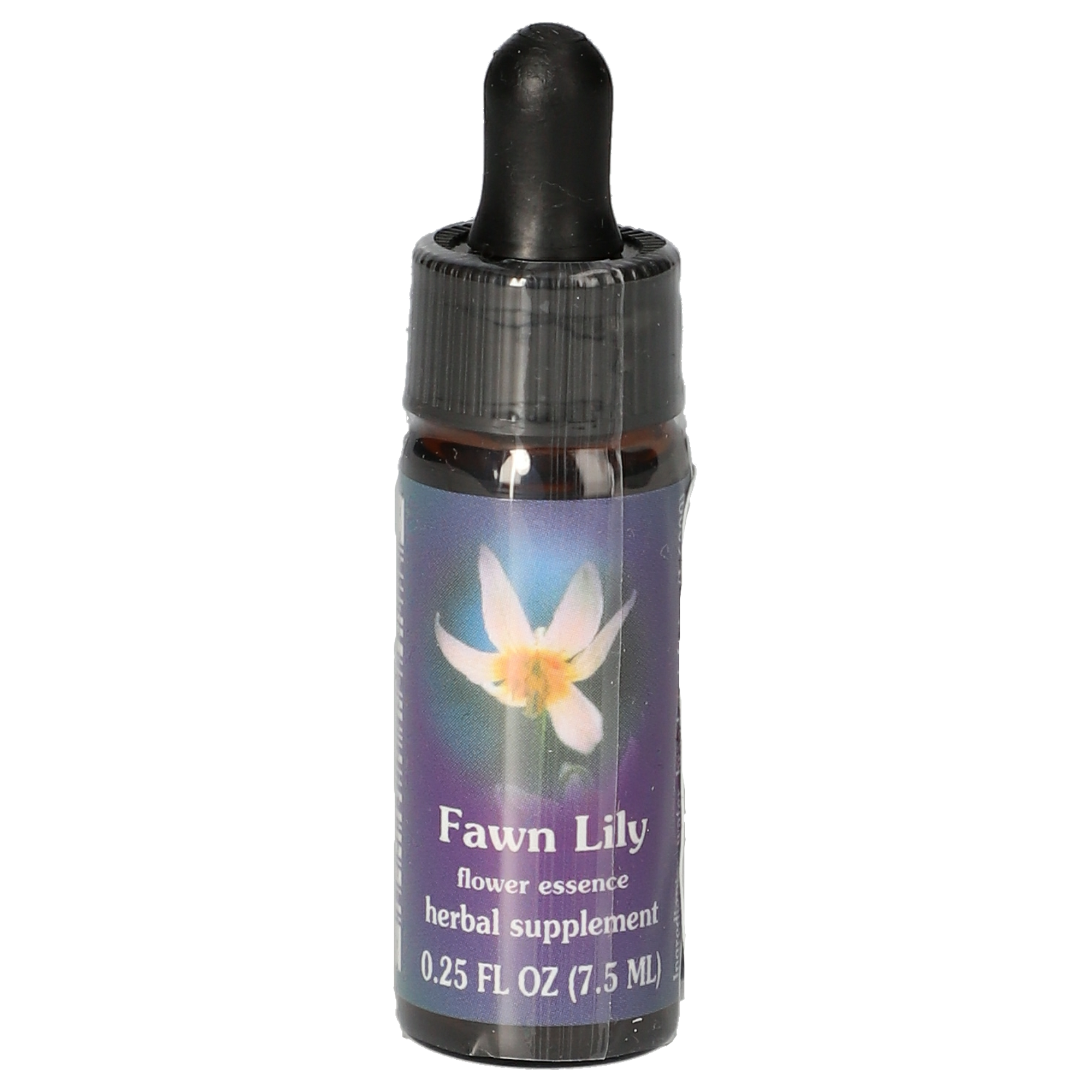 Fawn Lily / Erythronium gouttes