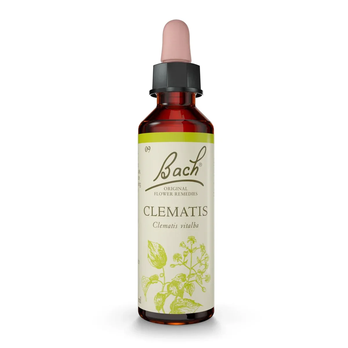 Bach Original® Clematis (Clématite blanche) Nr.9 Bach Original® Clematis (Clématite blanche) Nr.9