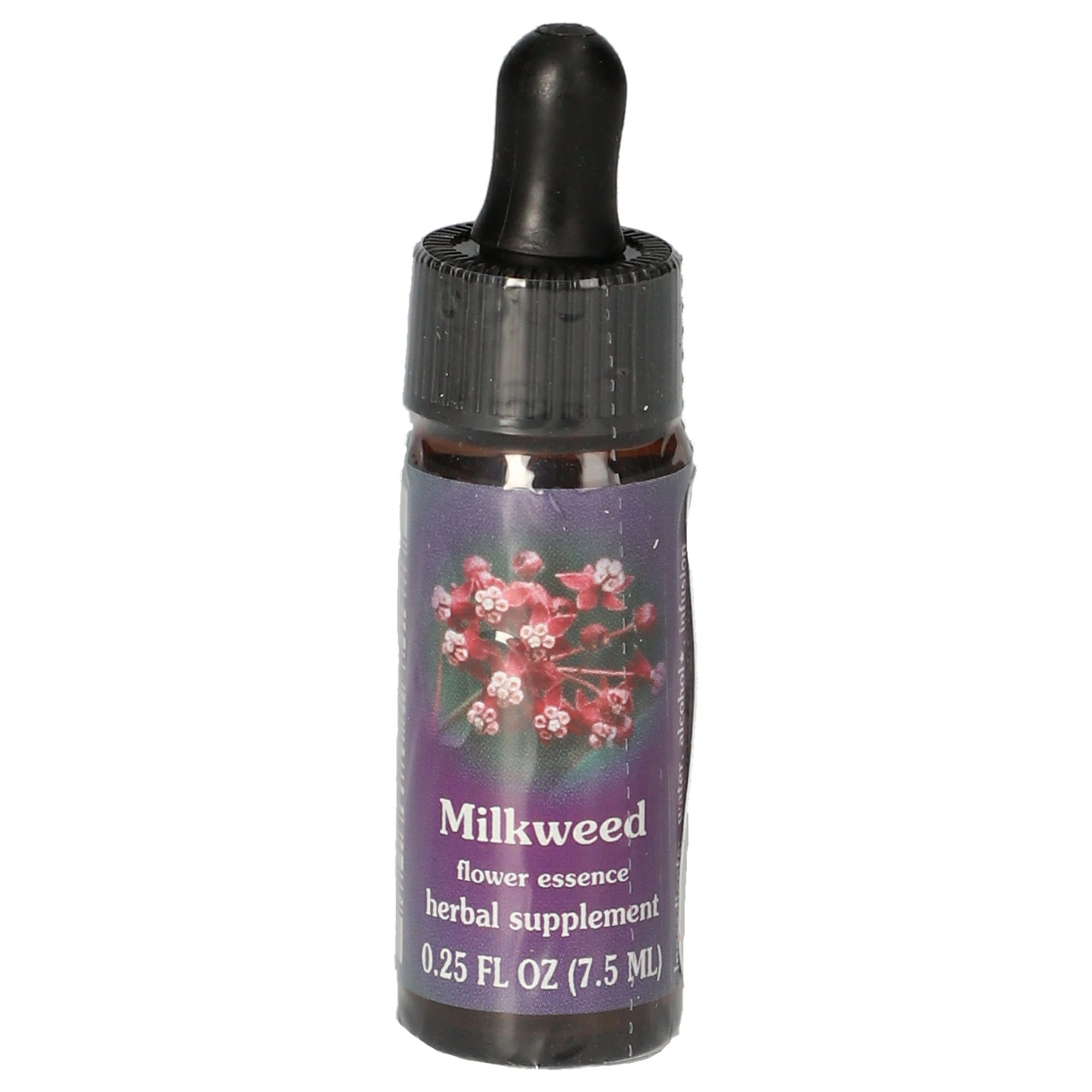 Milkweed / Asclépiade gouttes
