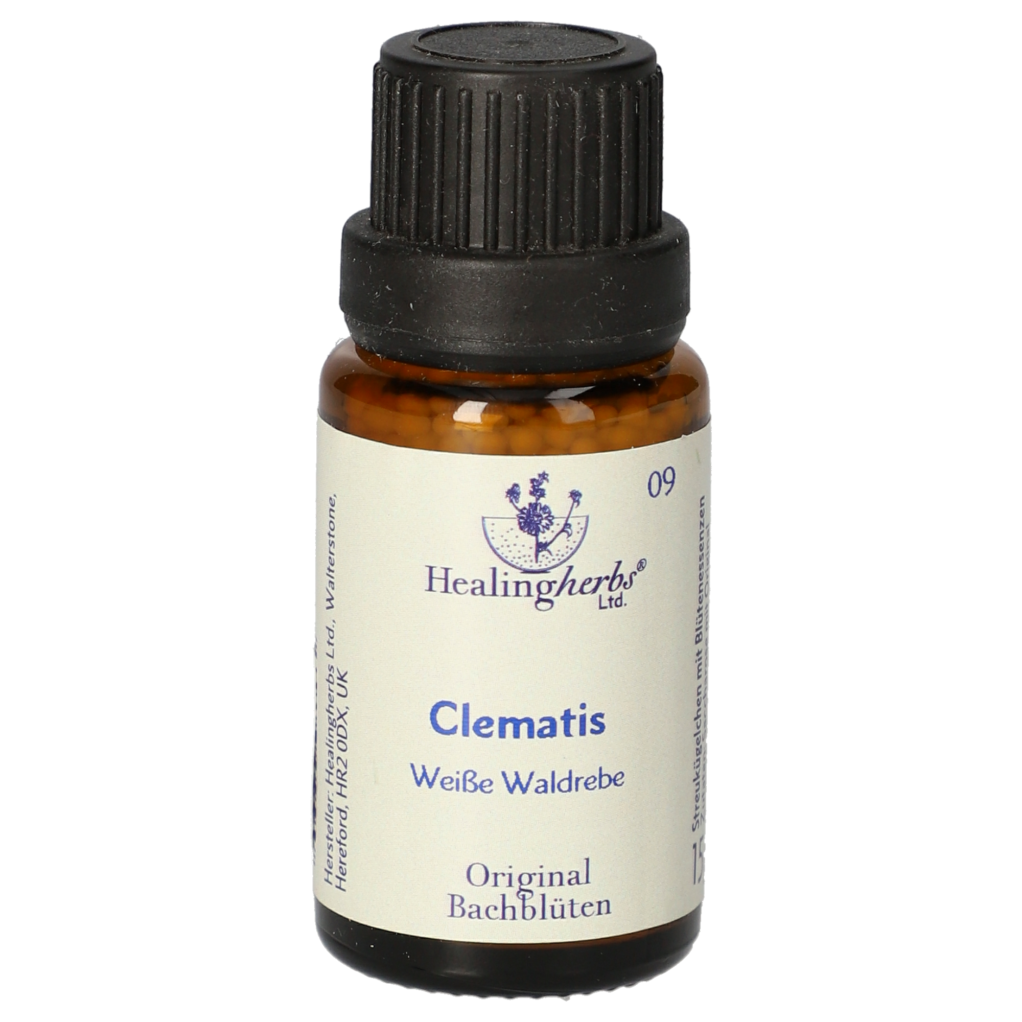 Clematis (Weiße Waldrebe) Globuli