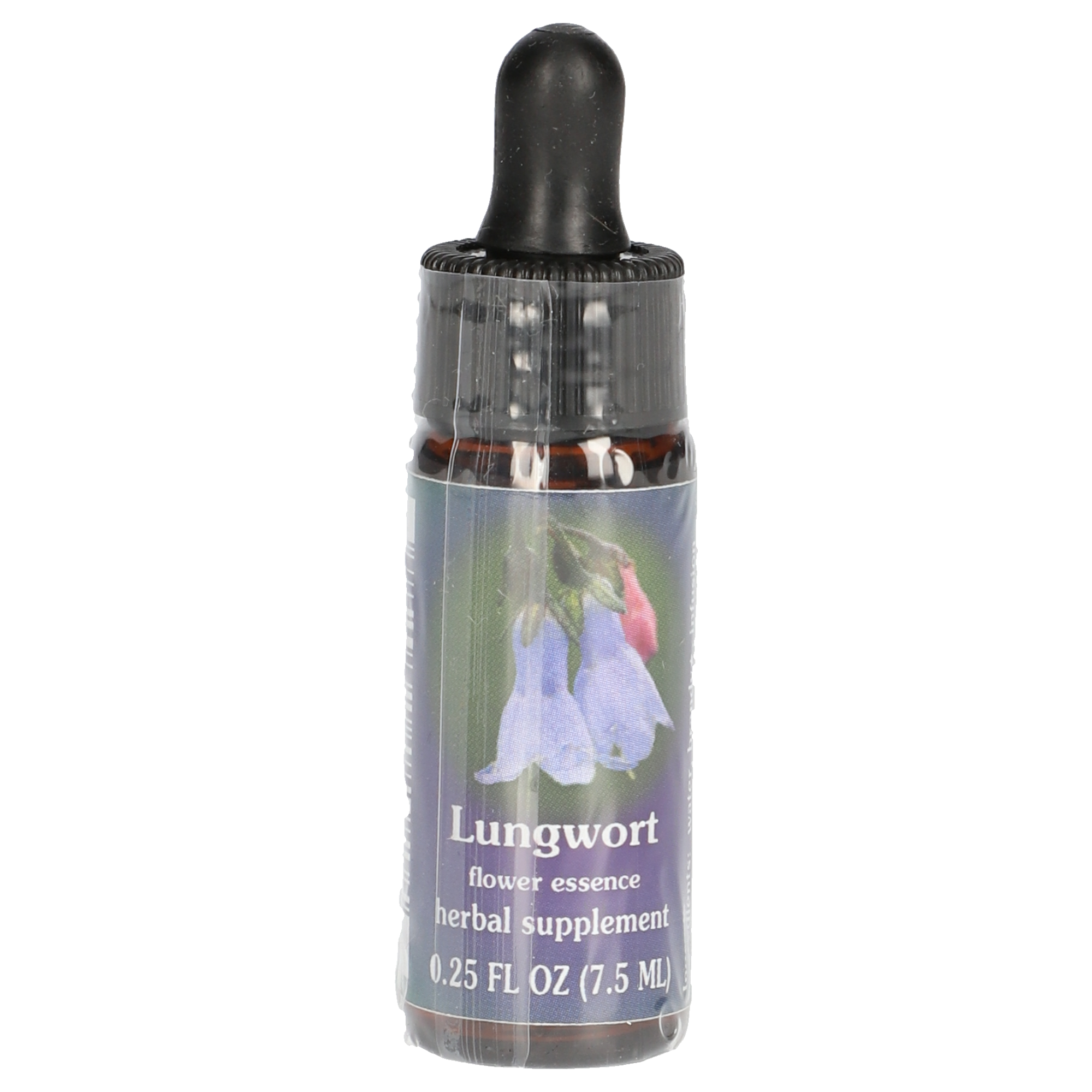 Lungwort / Mertensia gouttes Lungwort / Mertensia gouttes
