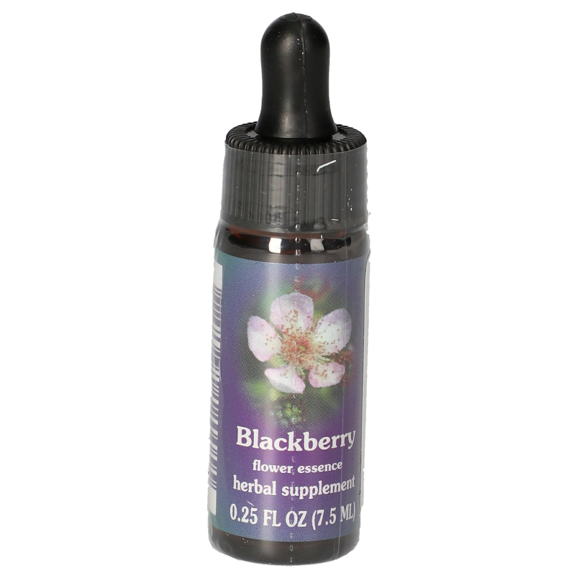 Blackberry / Brombeere) Tropfen