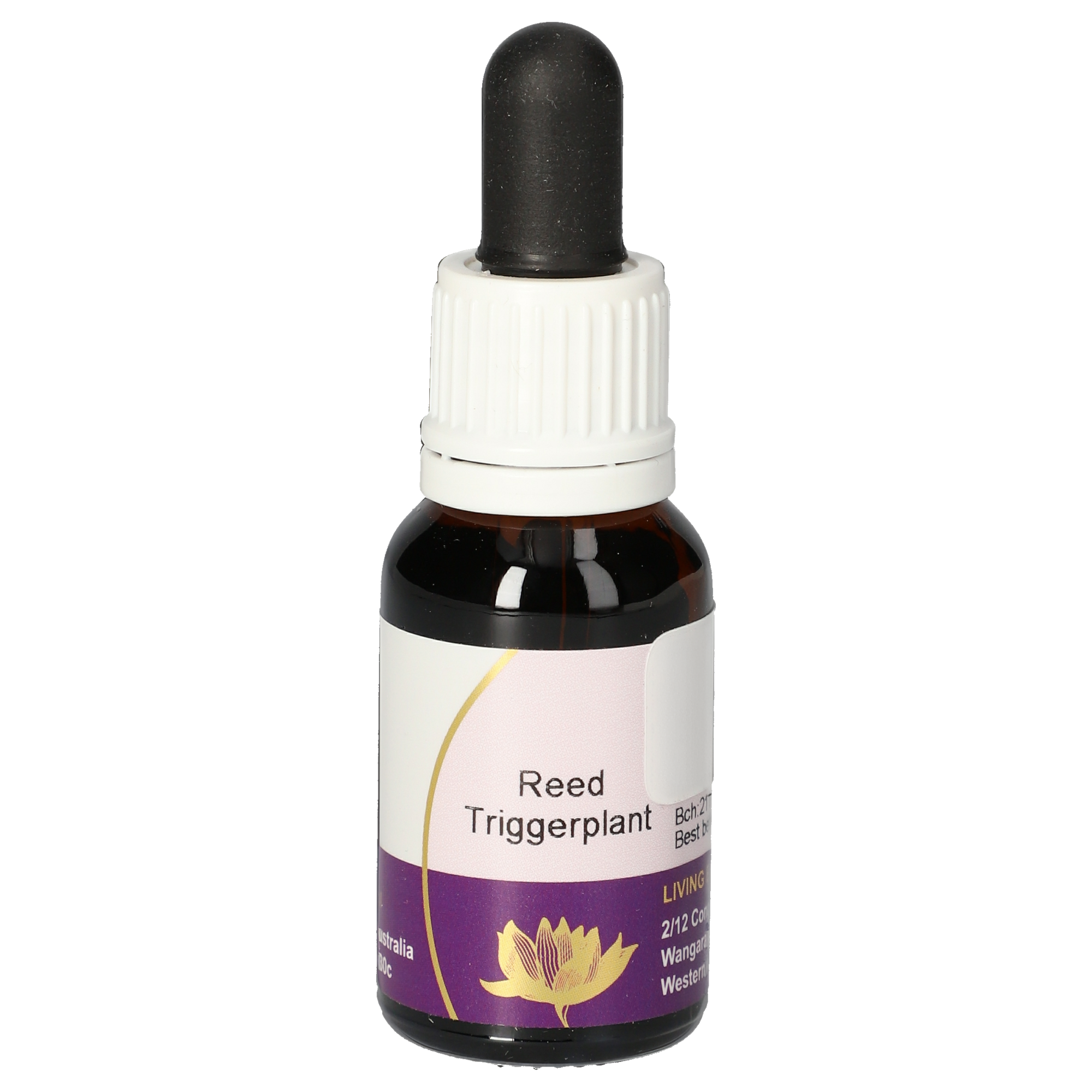 Reed Triggerplant Tropfen