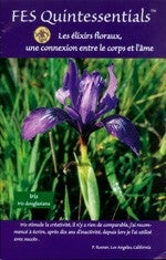 FES Quintessentials Brochure (édition française) - Gratuit