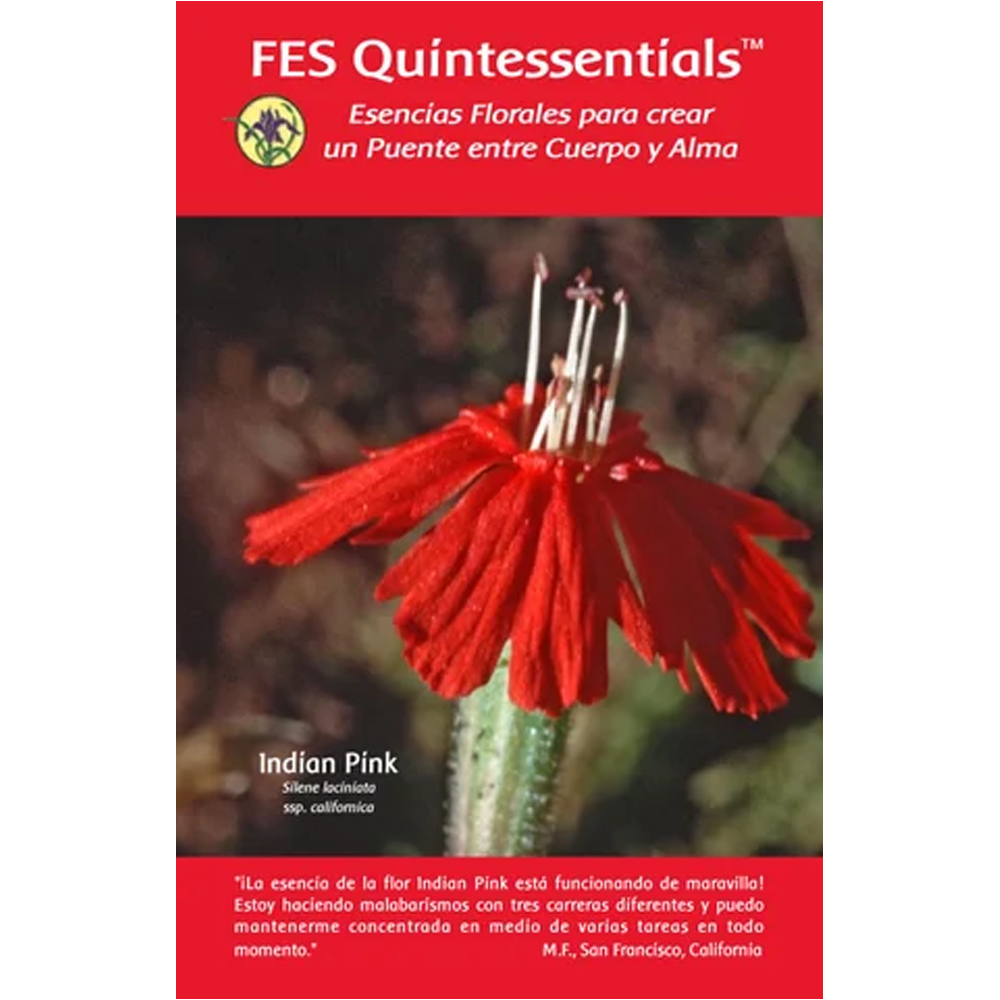 FES Quintessentials Brochure (édition française) - Gratuit FES Quintessentials Brochure (édition française) - Gratuit