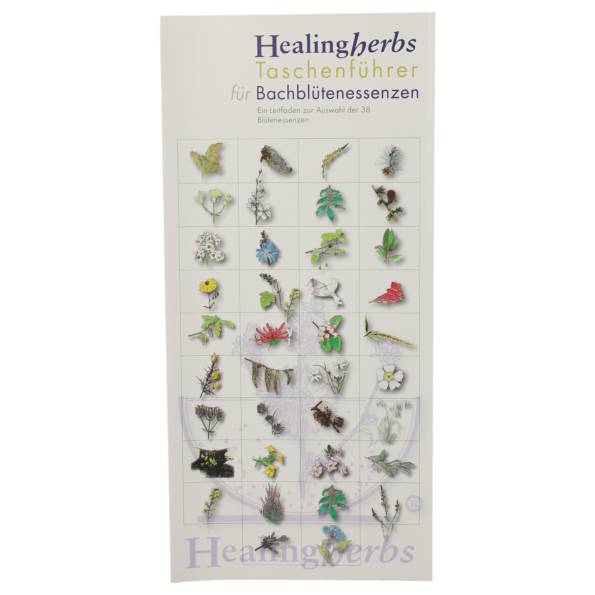 Healing Herbs Taschenführer (Deutsche Ausgabe) - Gratis