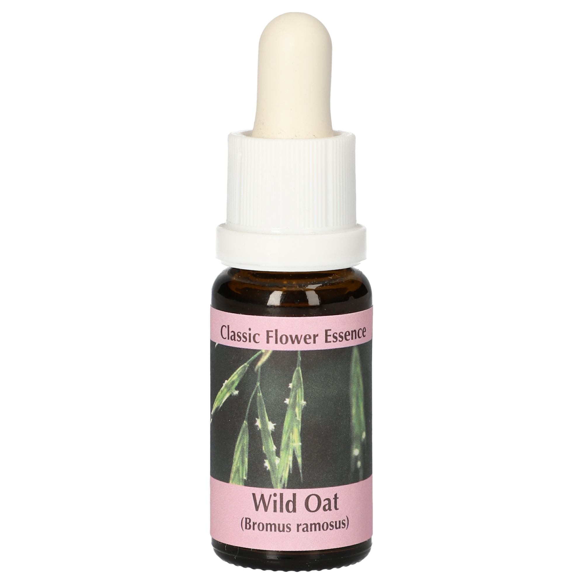 Wild Oat / Waldrespe Tropfen Wild Oat / Waldrespe Tropfen