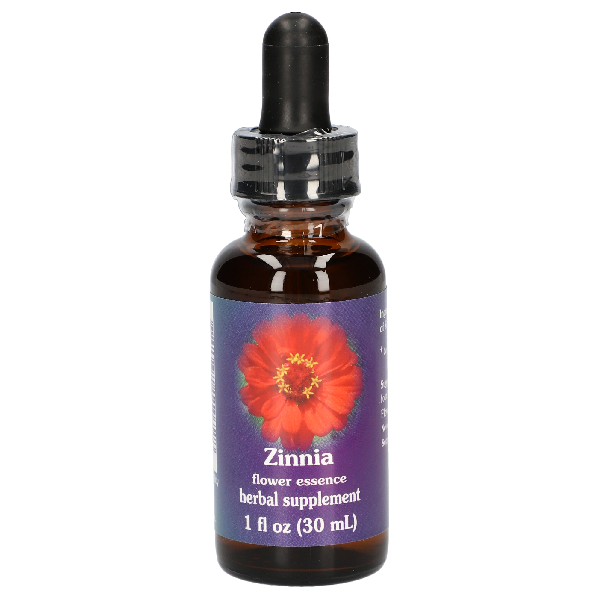 Zinnia / Zinnia elegans gouttes