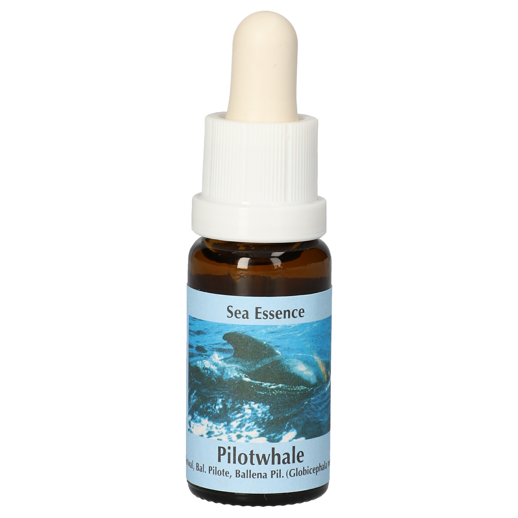 Baleine / Elixir de Baleine pilote gouttes Baleine / Elixir de Baleine pilote gouttes