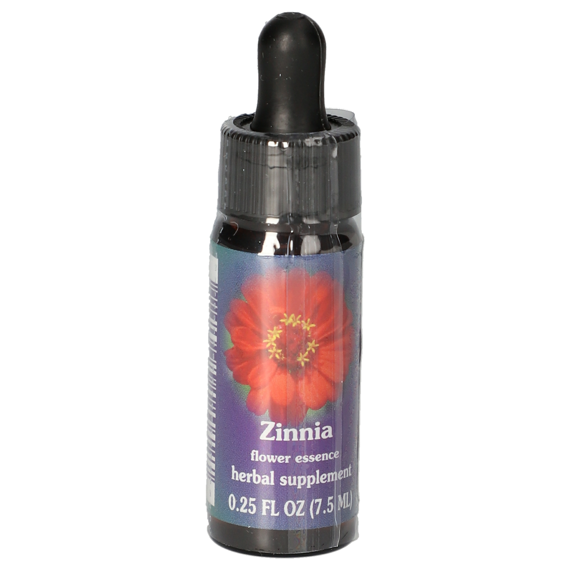 Zinnia / Zinnie Tropfen Zinnia / Zinnie Tropfen