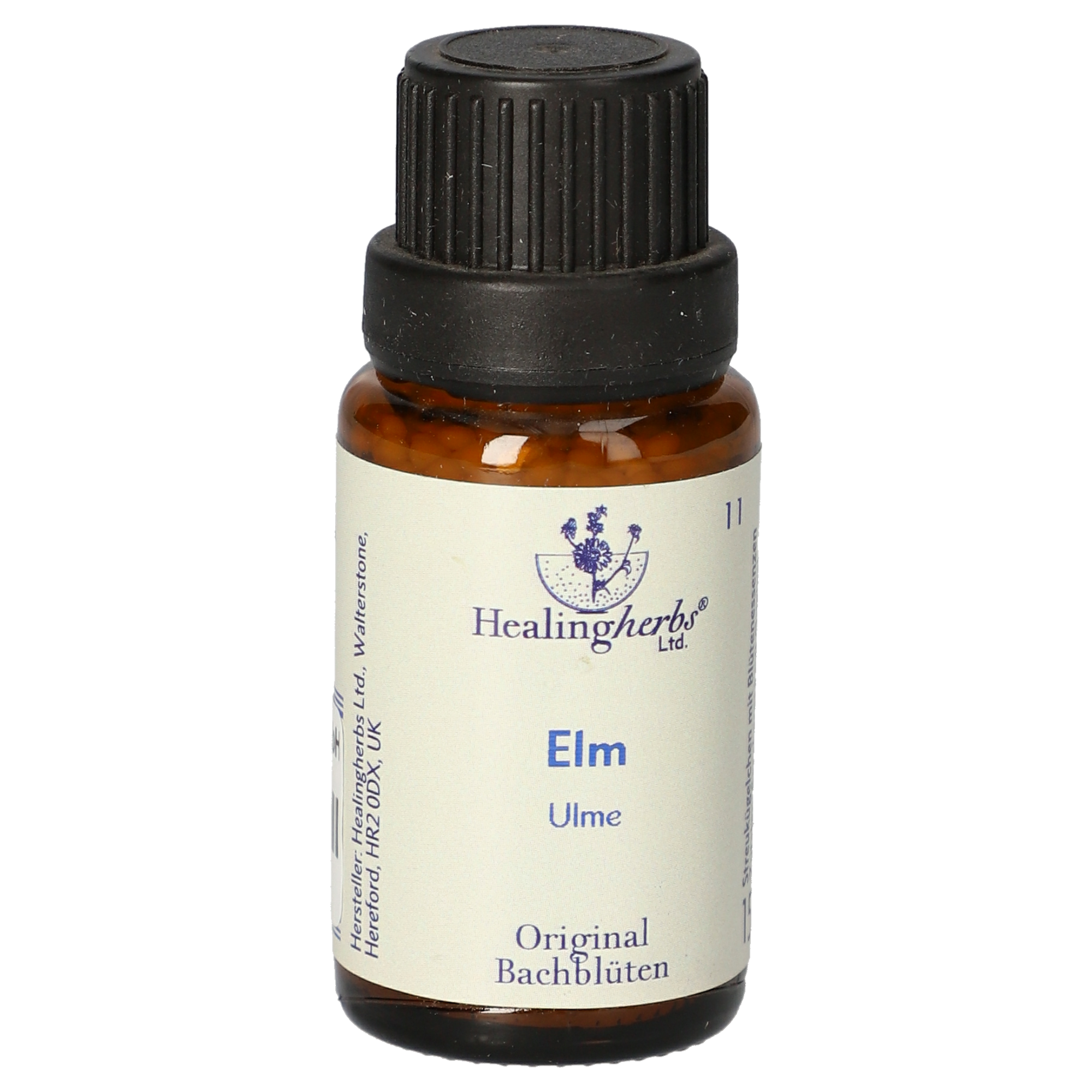 Elm (Ulme) Globuli
