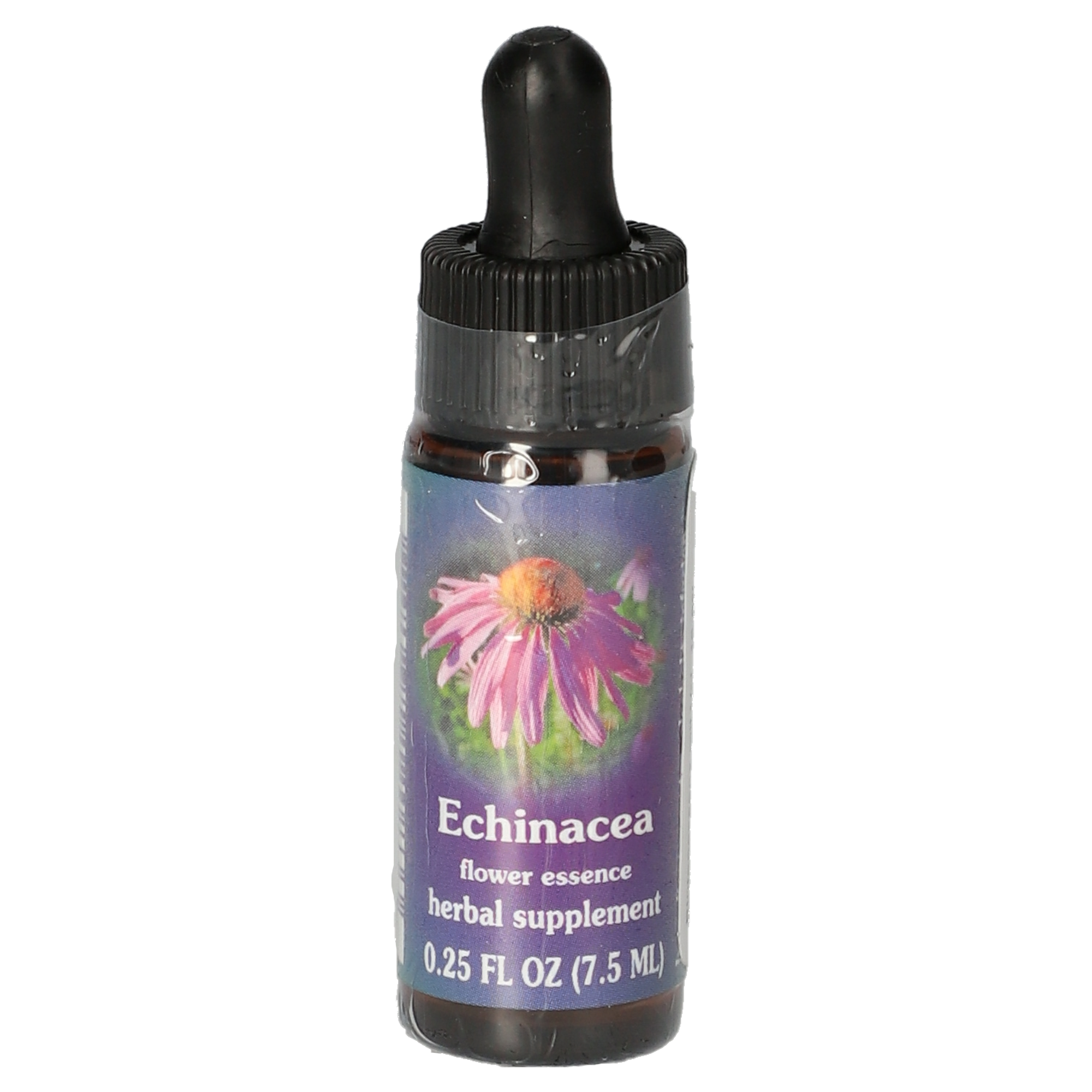 Echinacea / Echinacée gouttes