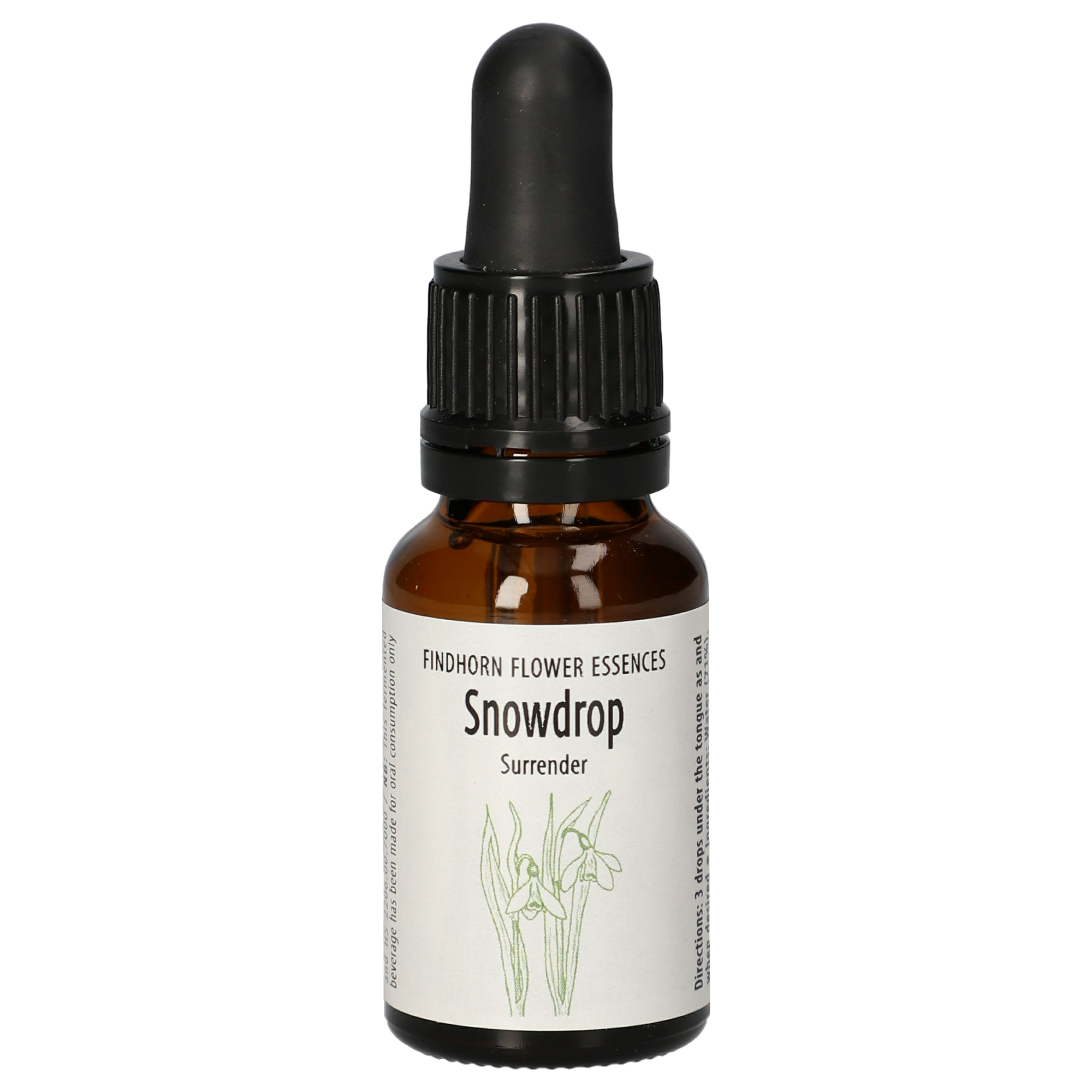 Snowdrop gouttes Snowdrop gouttes
