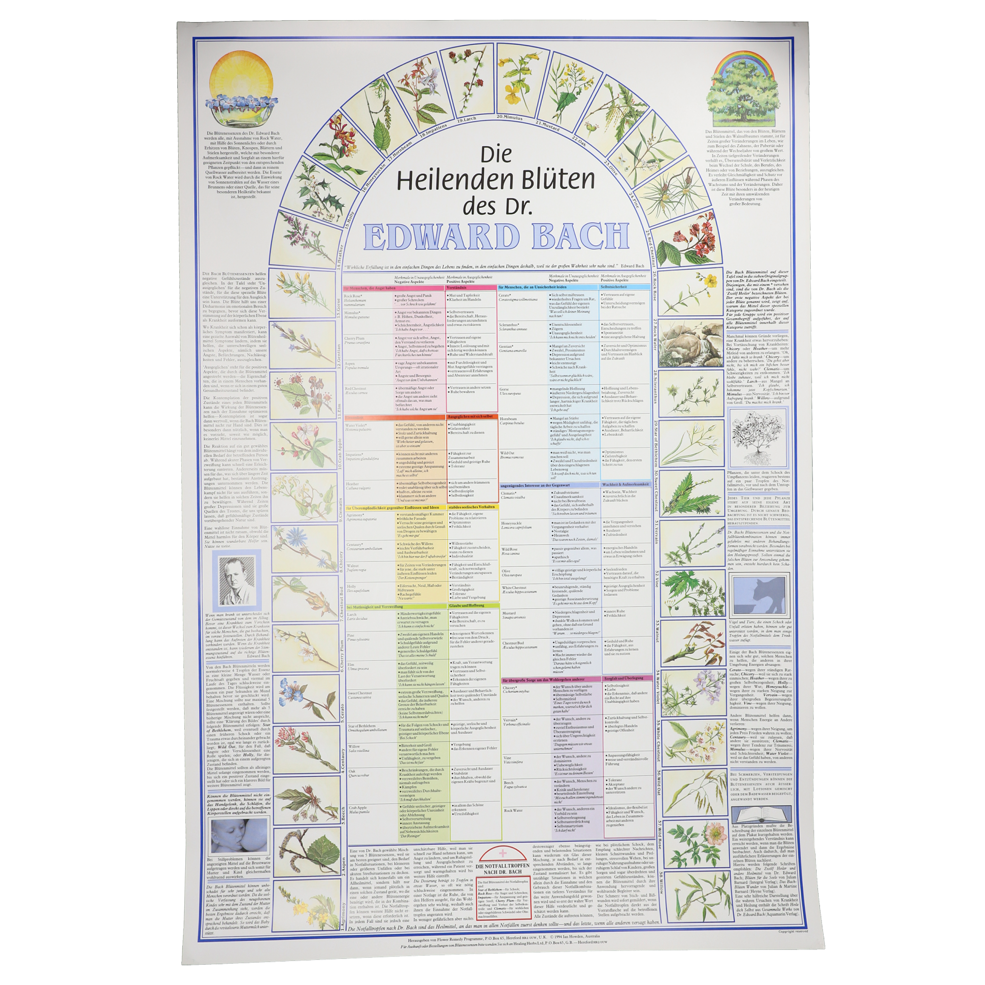 Bachblüten Poster - Die Heilenden Blüten des Dr. Edward Bach auf Deutsch Bachblüten Poster - Die Heilenden Blüten des Dr. Edward Bach auf Deutsch
