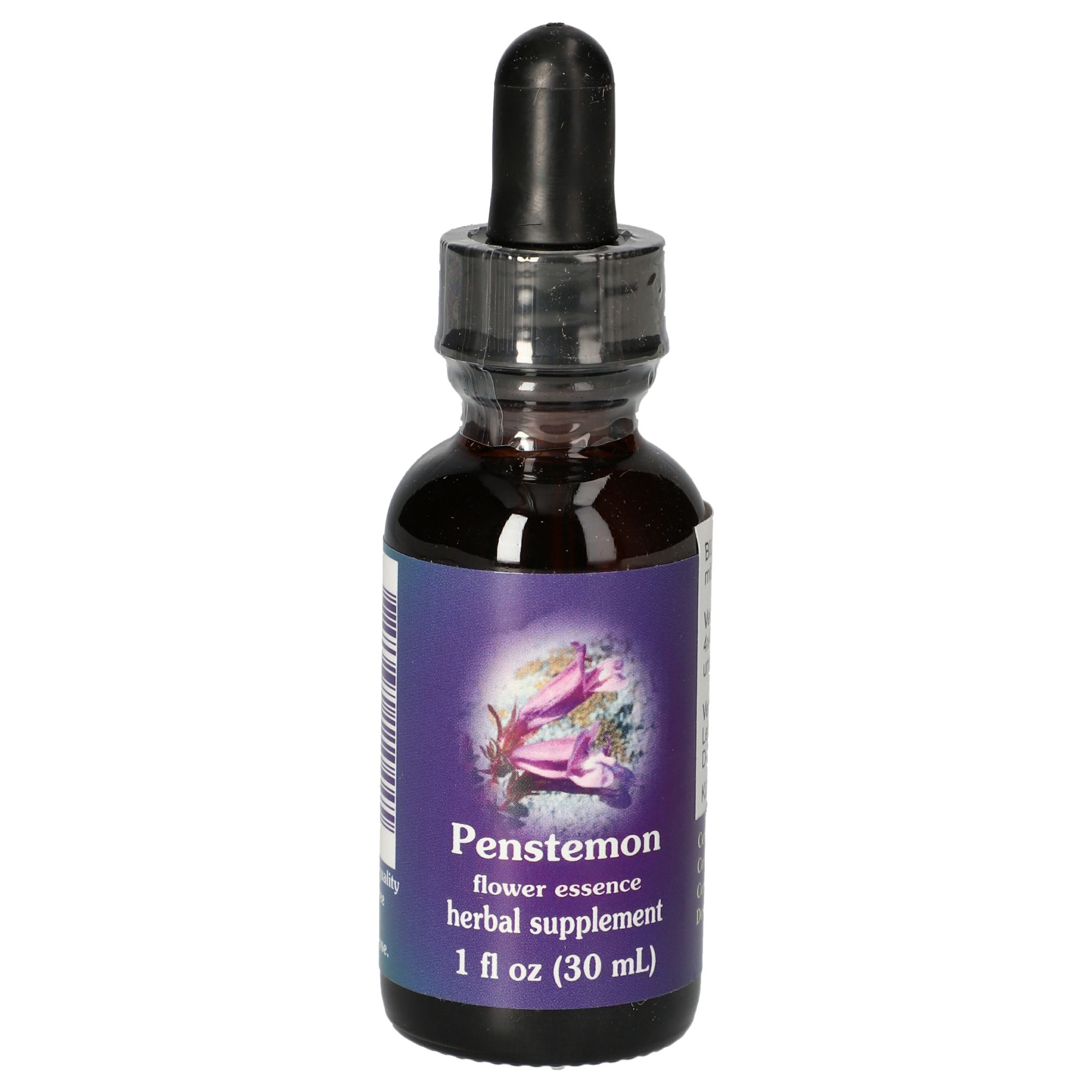 Penstemon / Penstemon davidsonii gouttes
