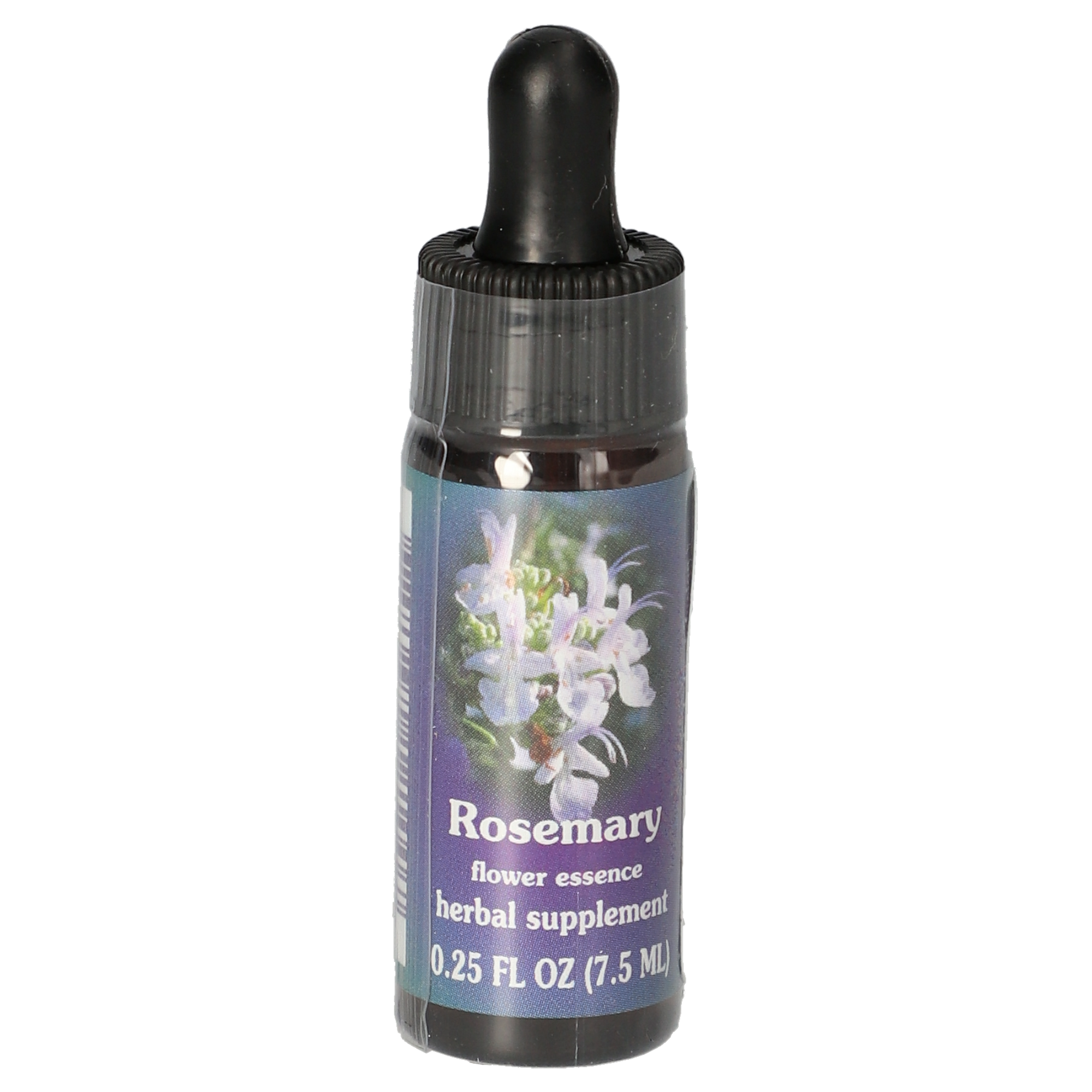 Rosemary / Rosmarin Tropfen