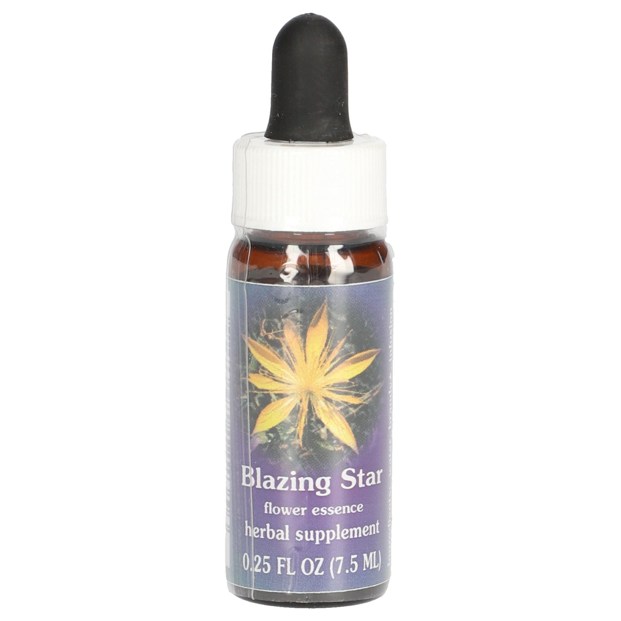 Blazing Star / Mentzelia laevicaulis Tropfen