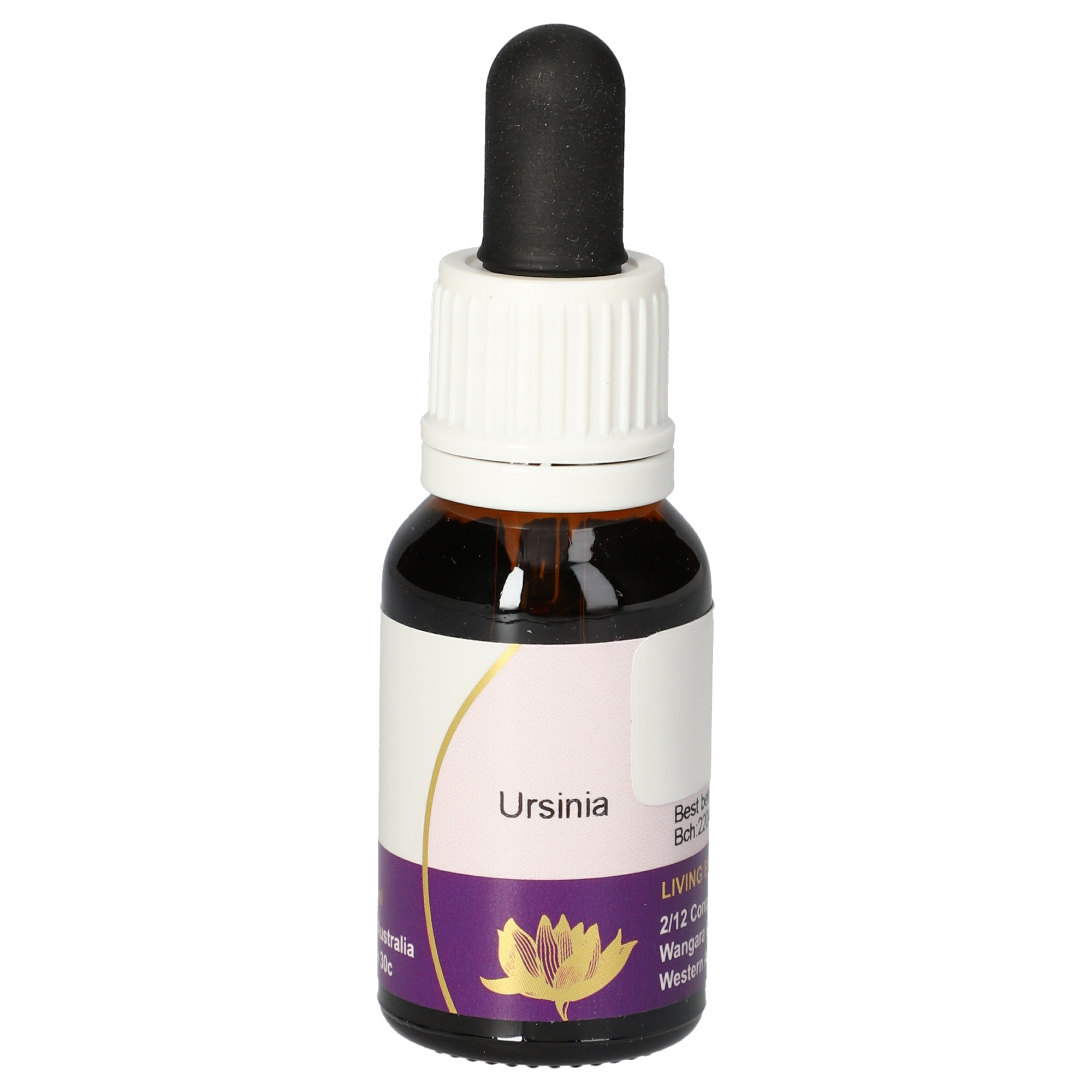 Ursinia Tropfen