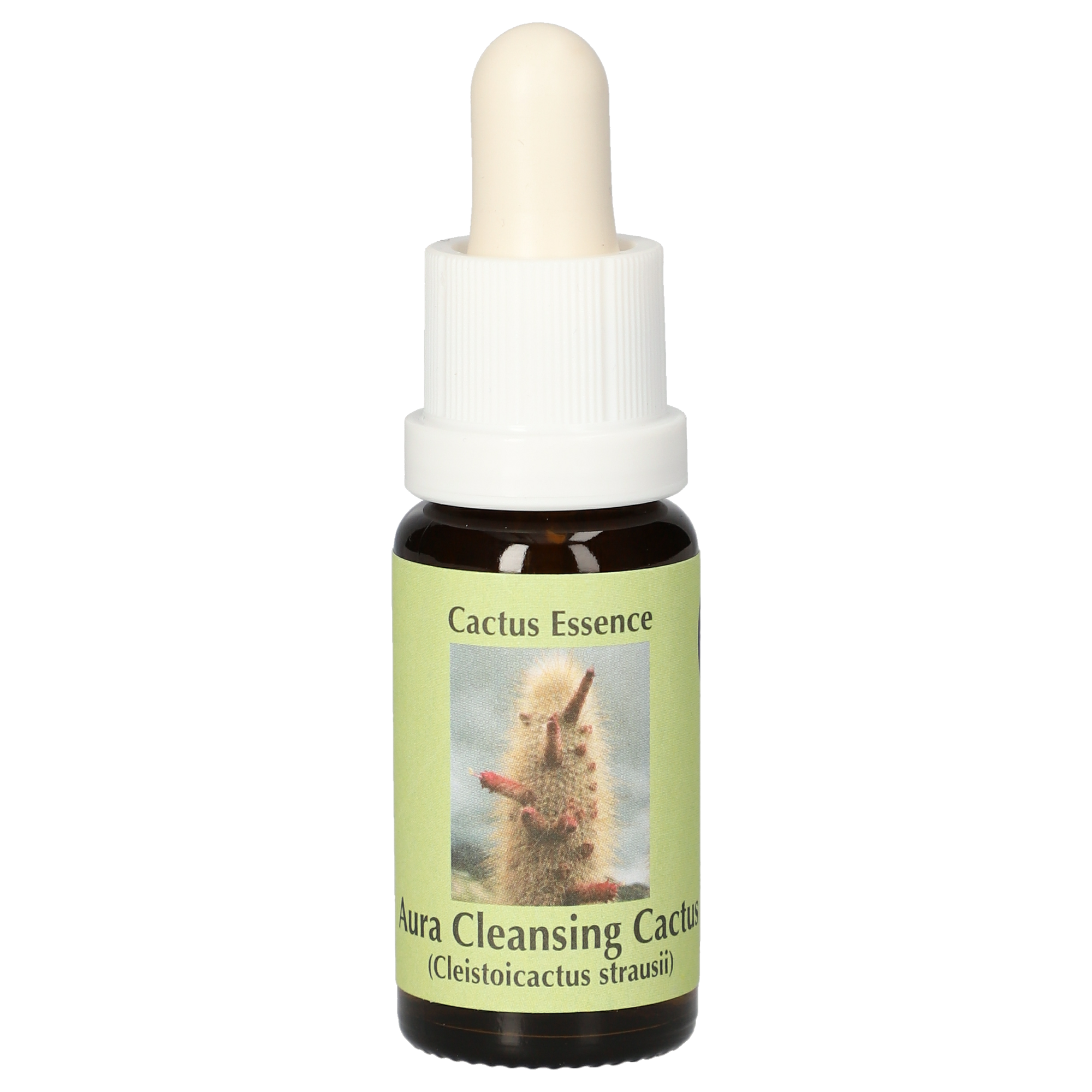 Aura Cleansing Cactus (Silberkerze) Tropfen