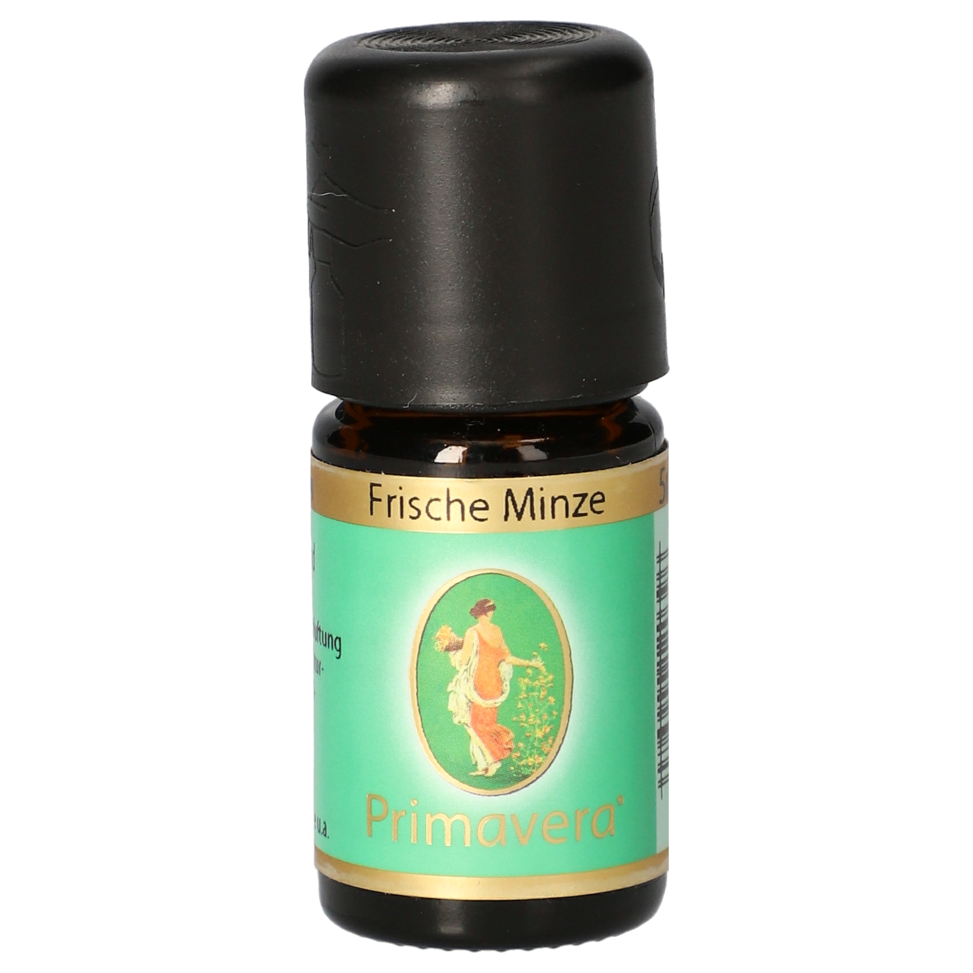 Frische Minze