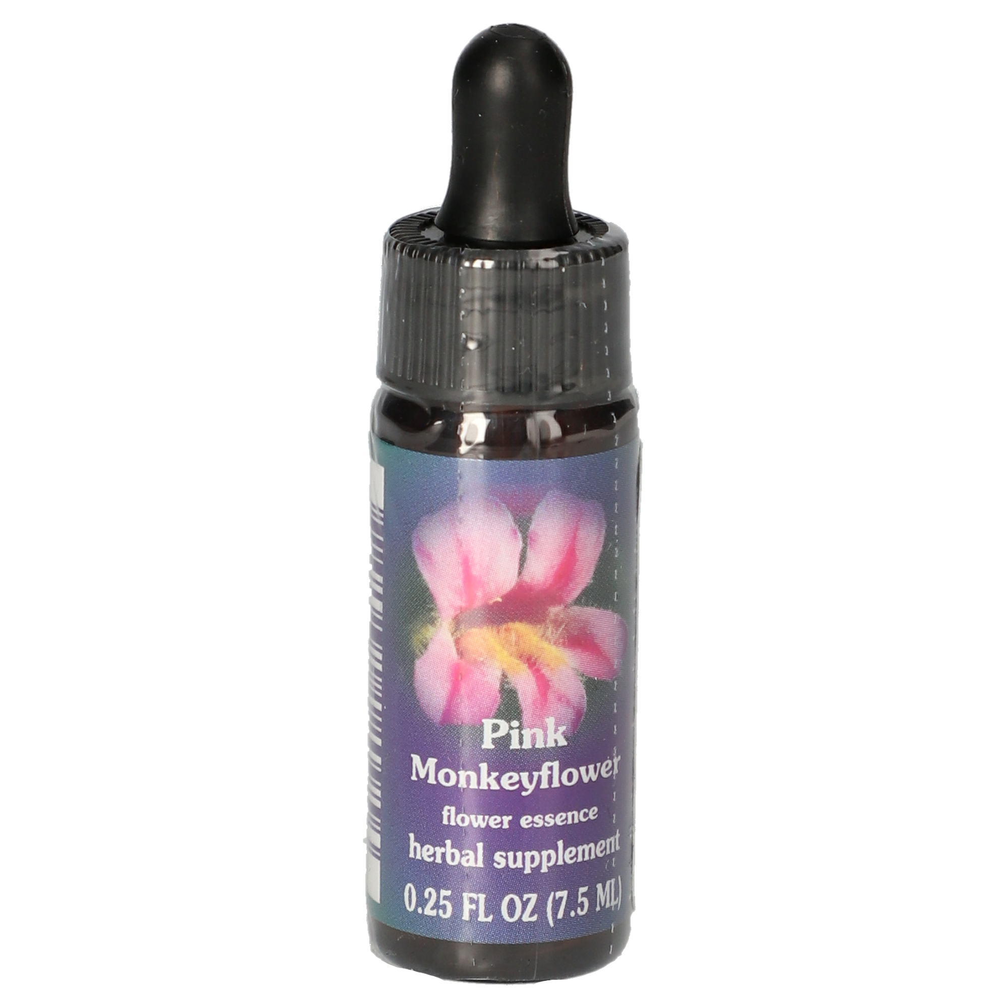 Pink Monkeyflower / Mimulus lewisii gouttes