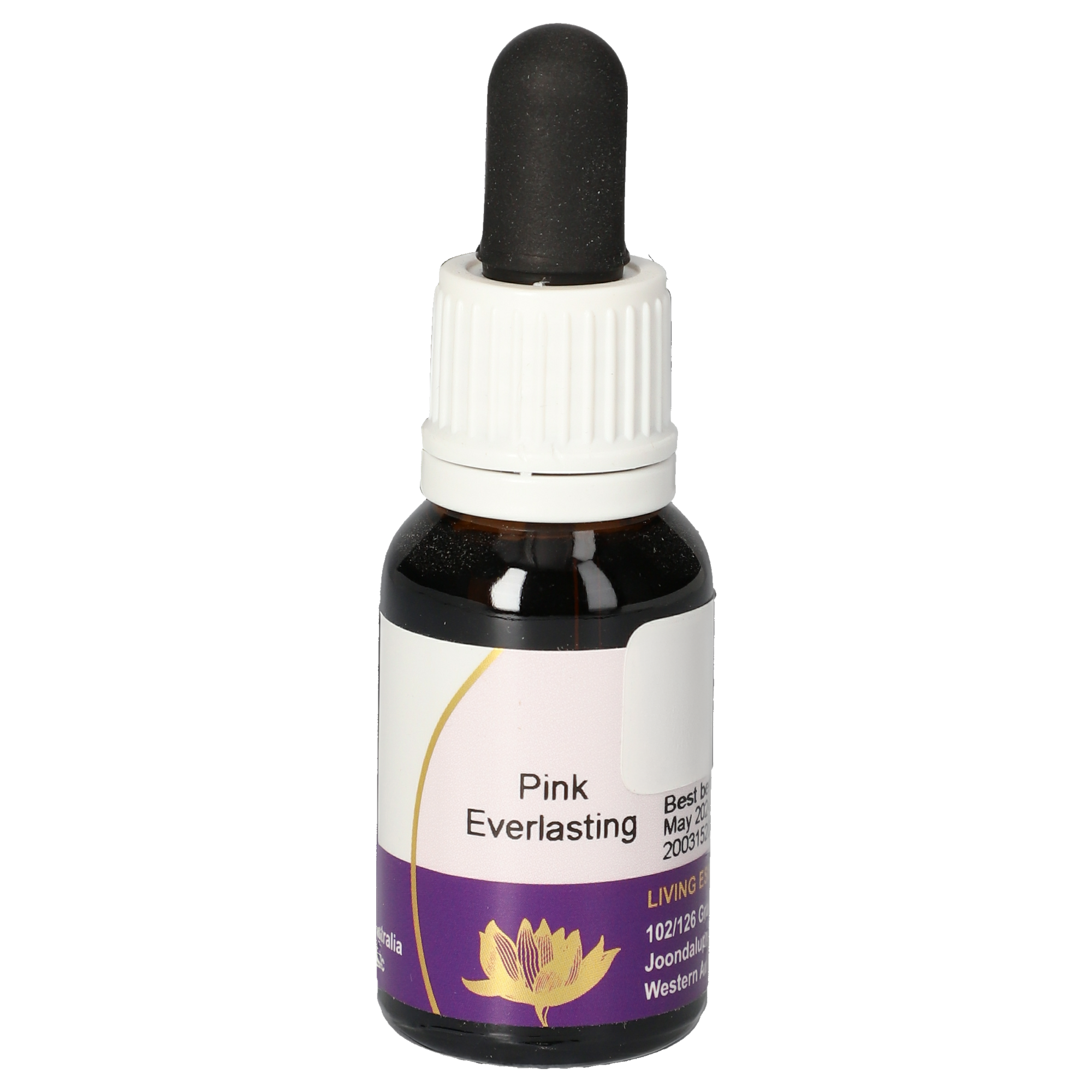 Pink Everlasting gouttes