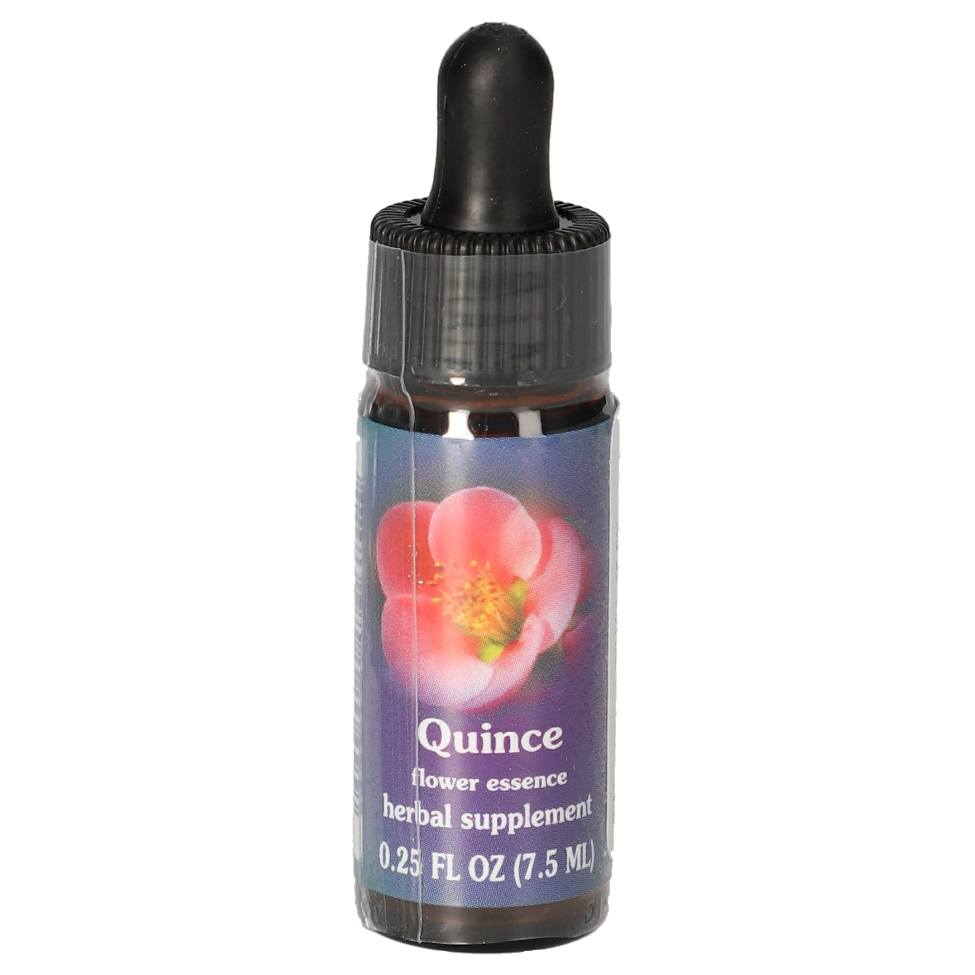 Quince / Zierquitte Tropfen Quince / Zierquitte Tropfen