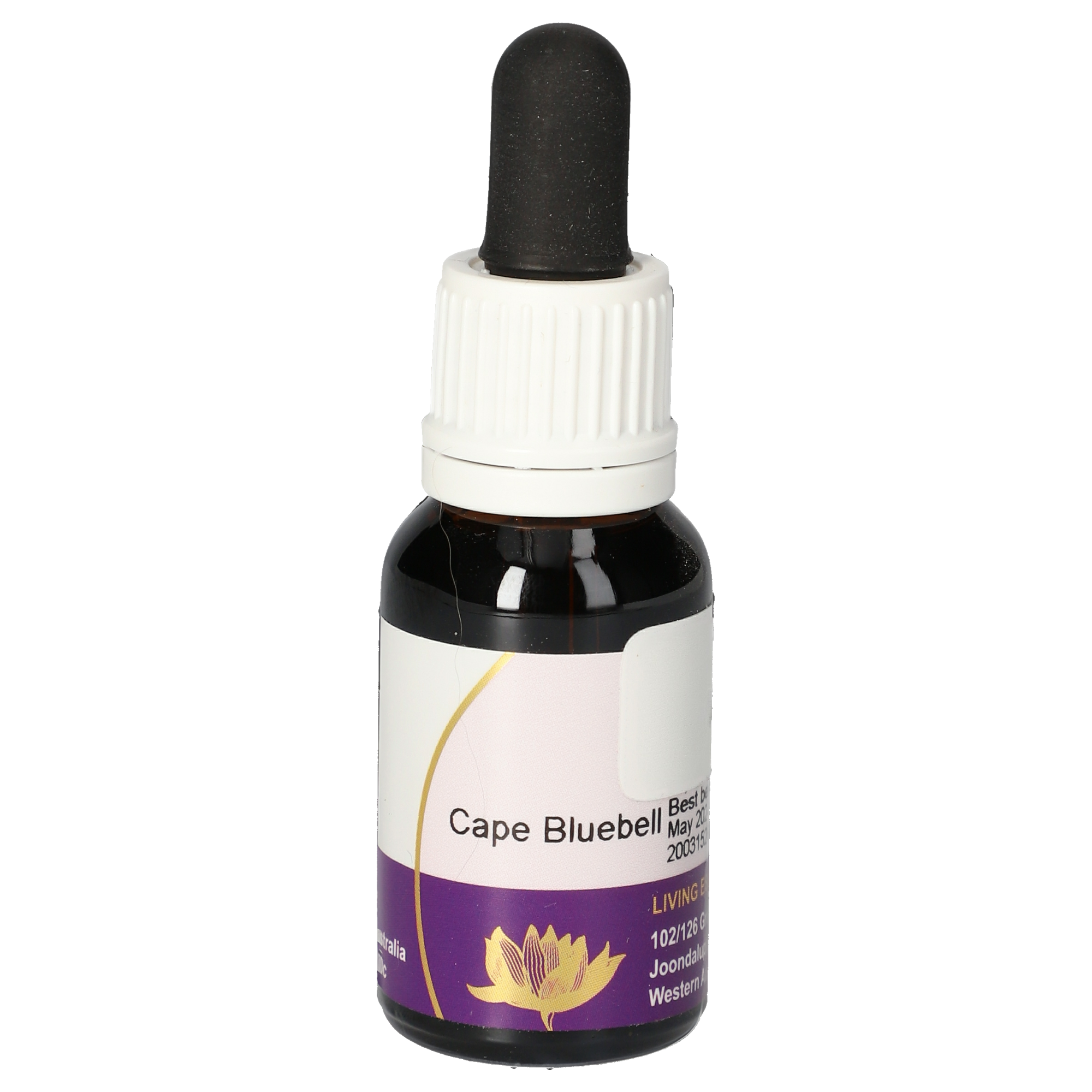 Cape Bluebell Tropfen