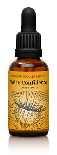 Voice Confidence Tropfen