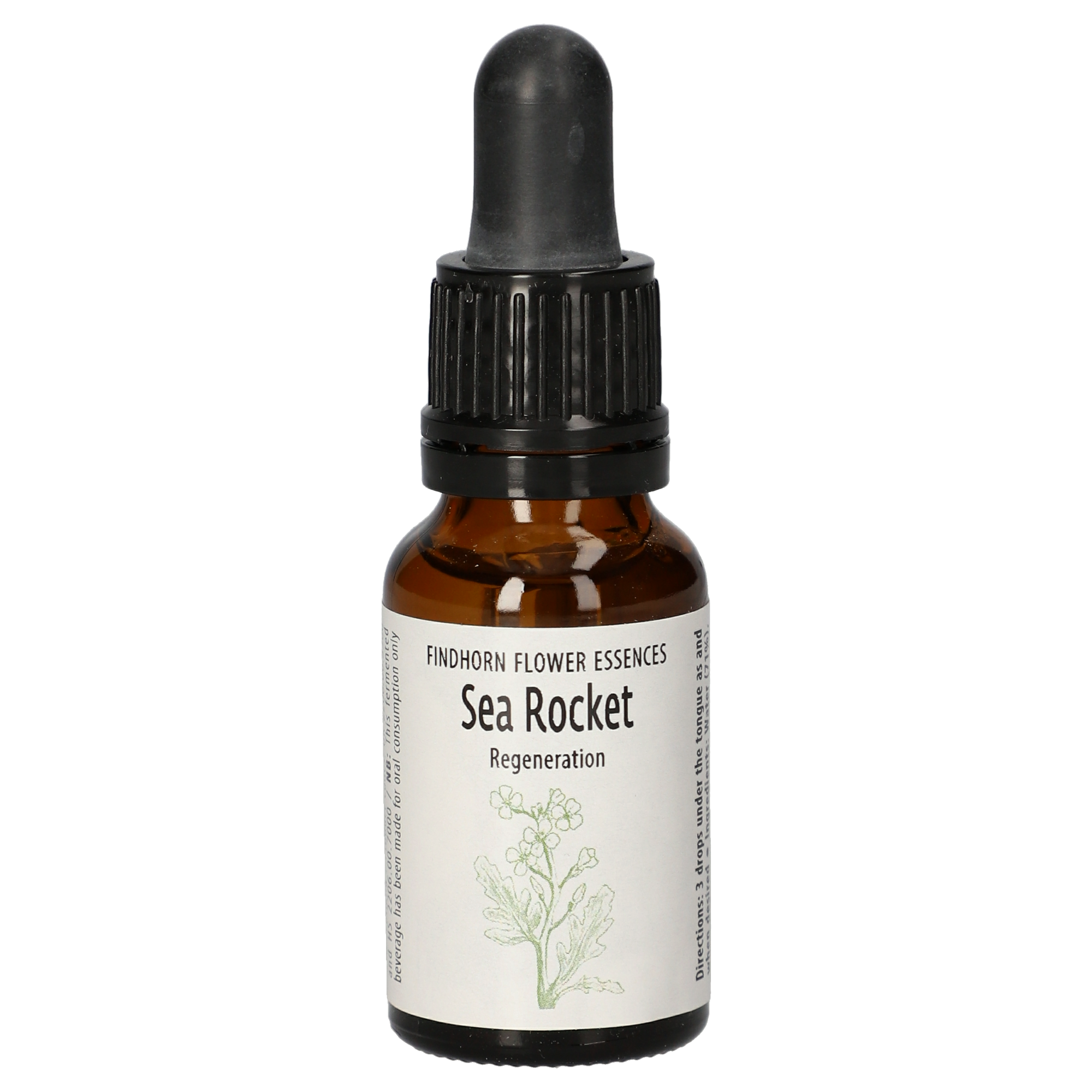 Sea Rocket gouttes Sea Rocket gouttes