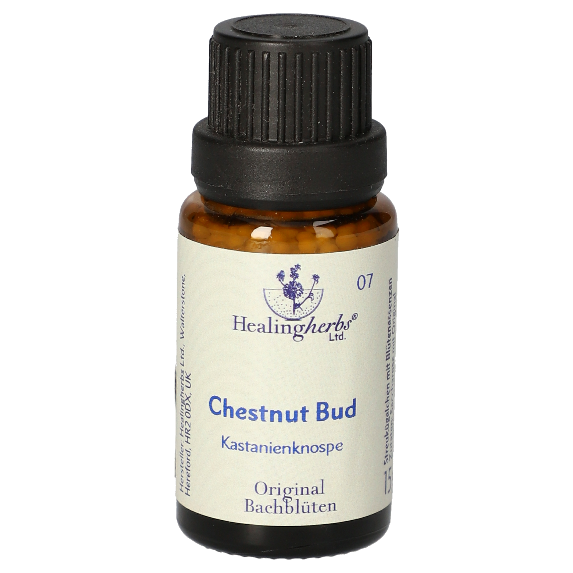 Chestnut Bud (Bourgeon de Marronnier) granules Chestnut Bud (Bourgeon de Marronnier) granules