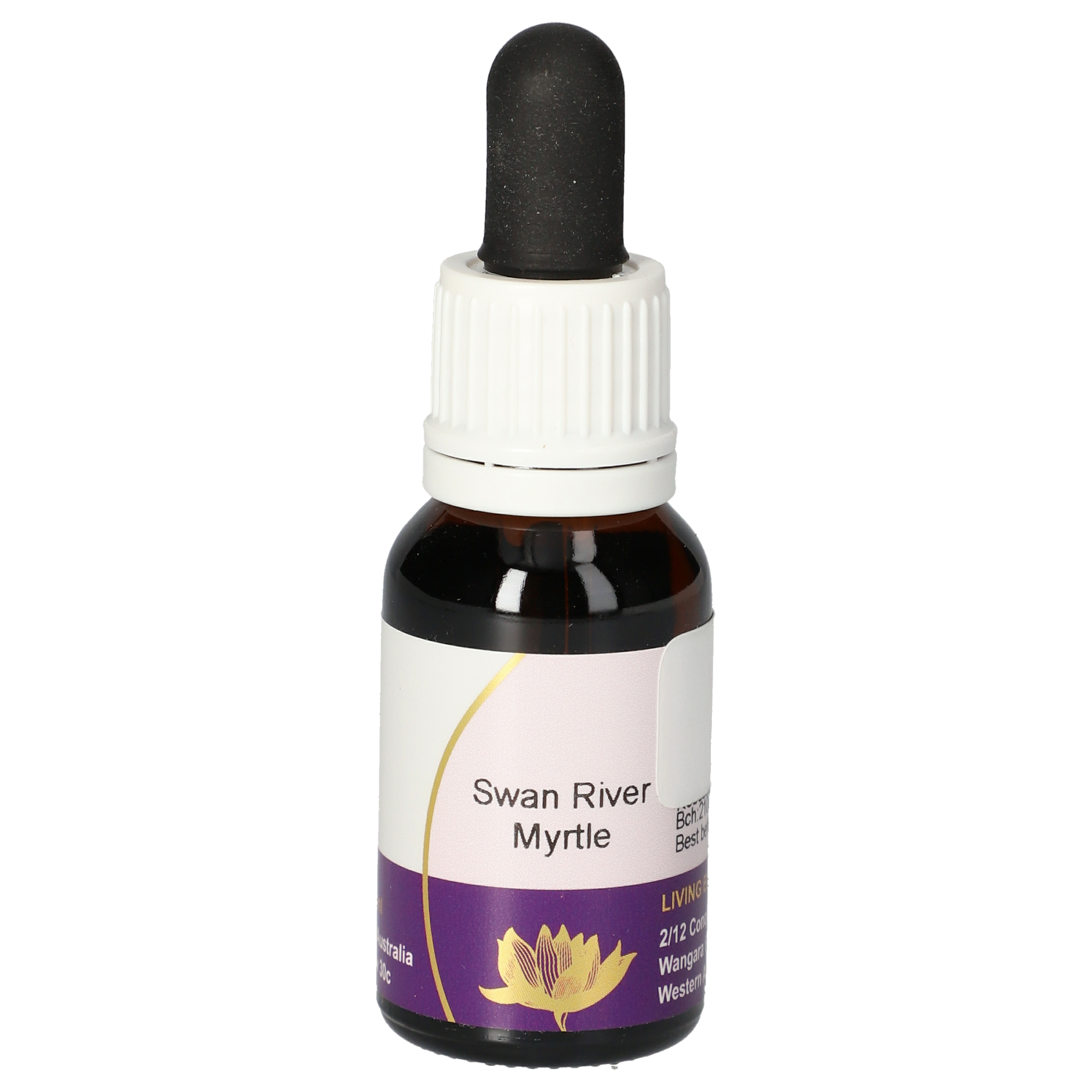 Swan River Myrtle gouttes