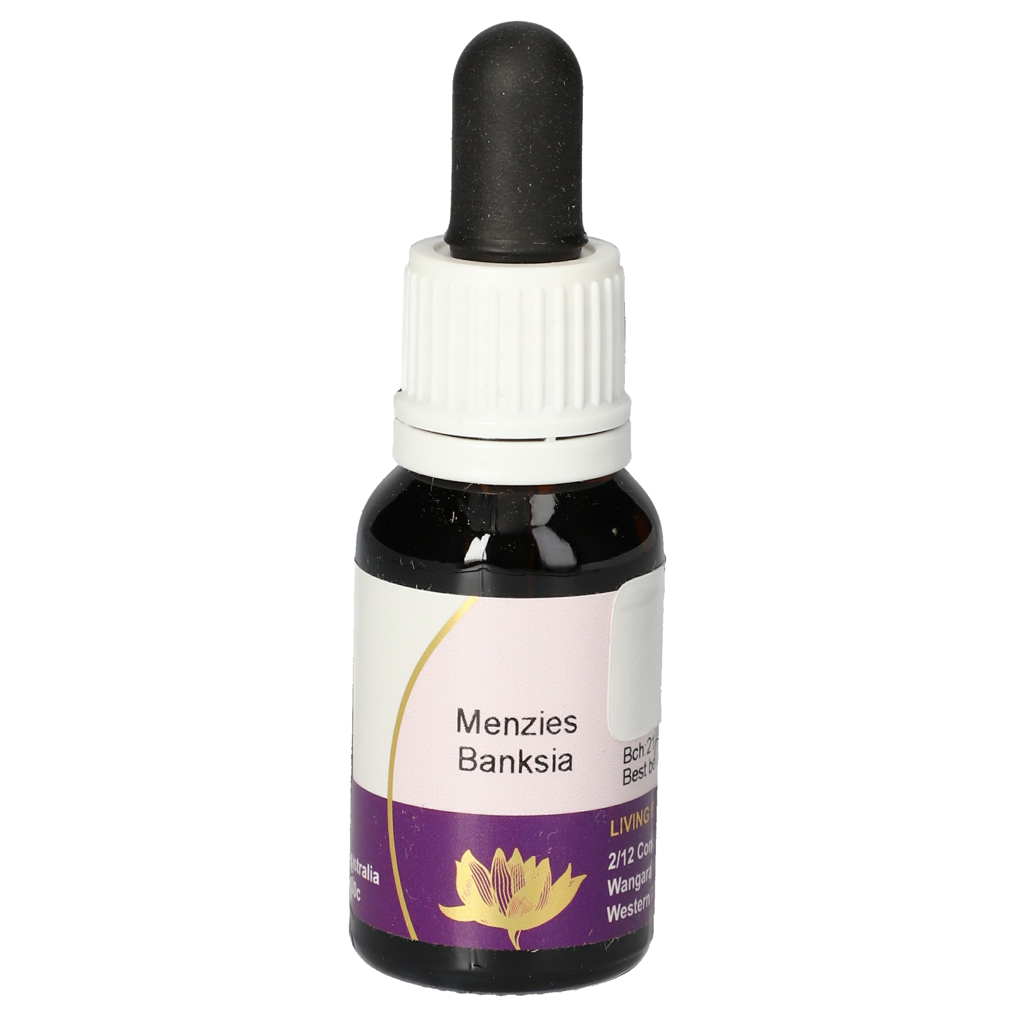 Menzies Banksia gouttes