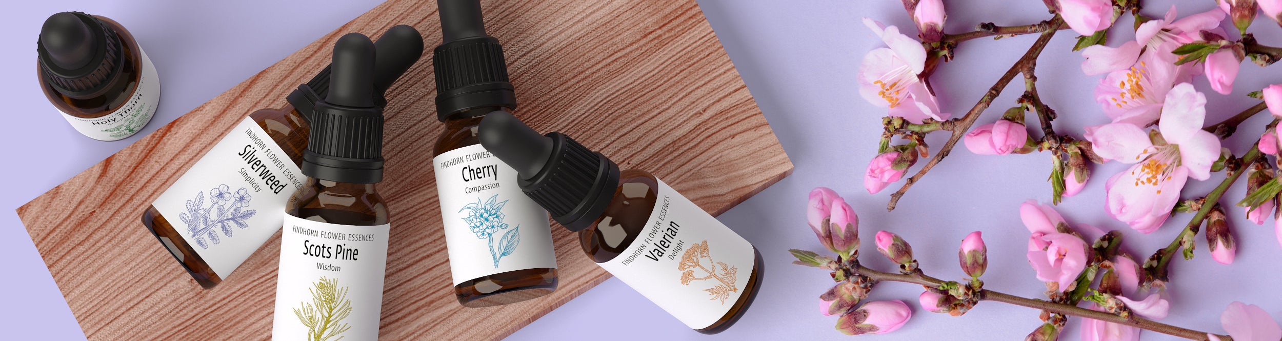 Flower Essence Kit / Blumen Essenzen Set (35x15ml)