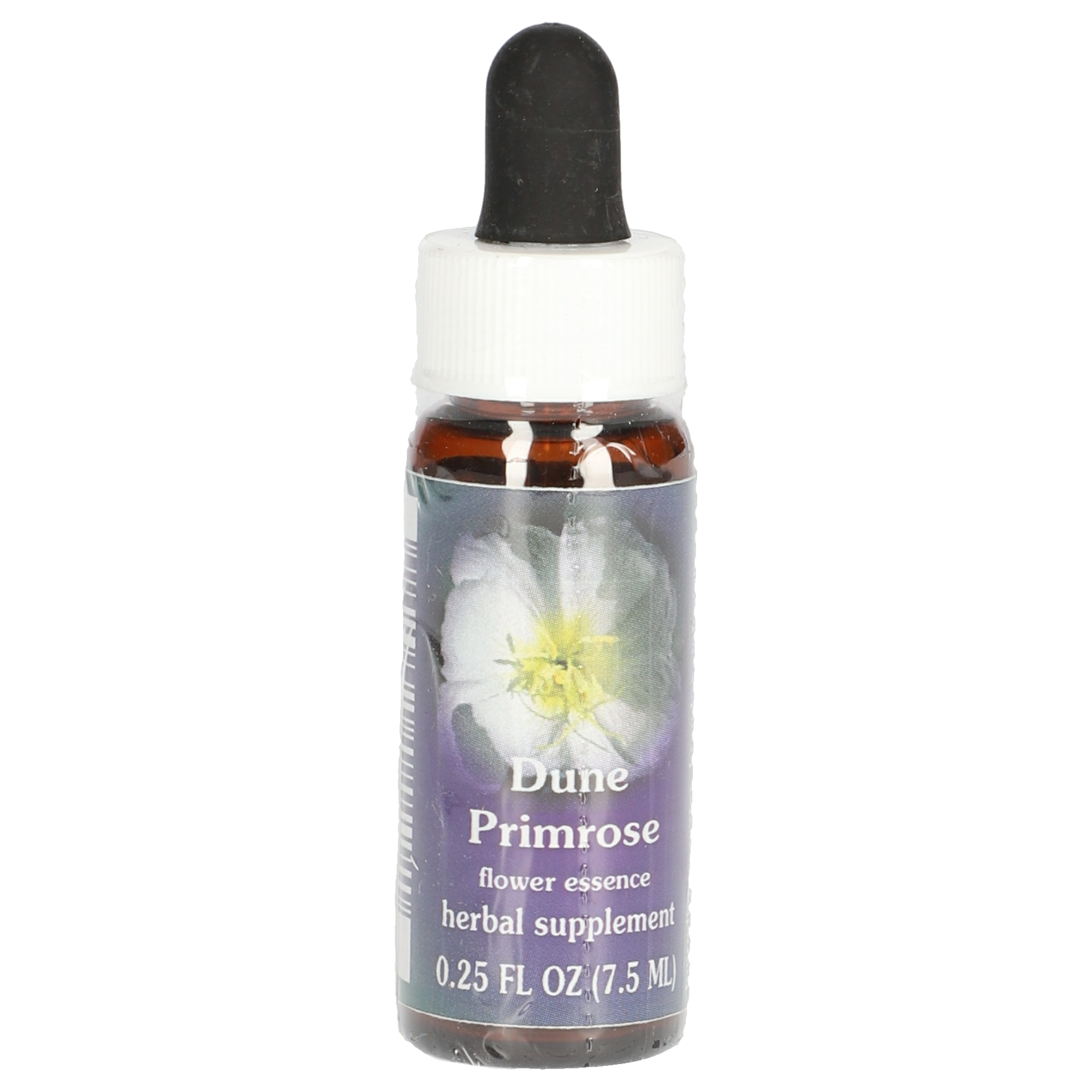 Dune Primrose gouttes