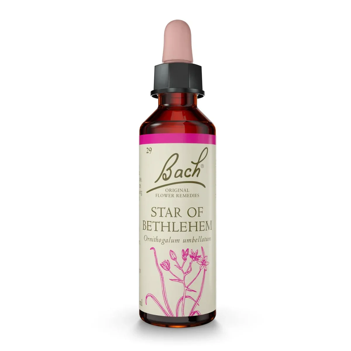 Bach Original® Star of Bethlehem (Etoile de Béthléem) Nr.29 Bach Original® Star of Bethlehem (Etoile de Béthléem) Nr.29