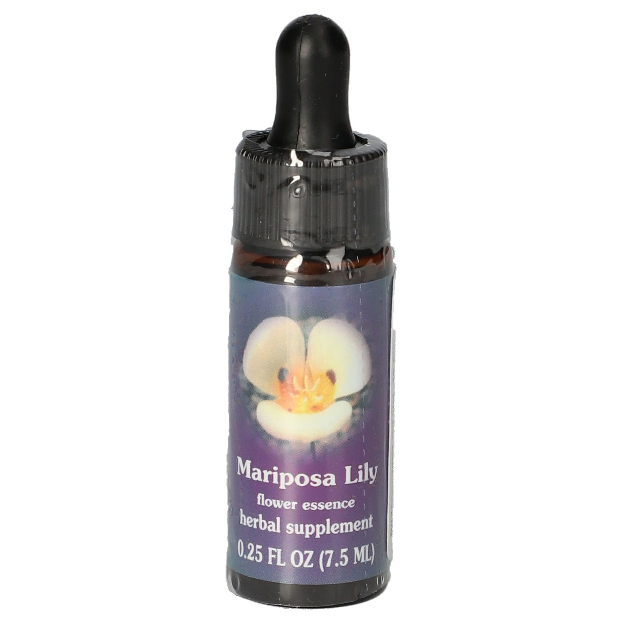 Mariposa Lily / Mormonentulpe Tropfen