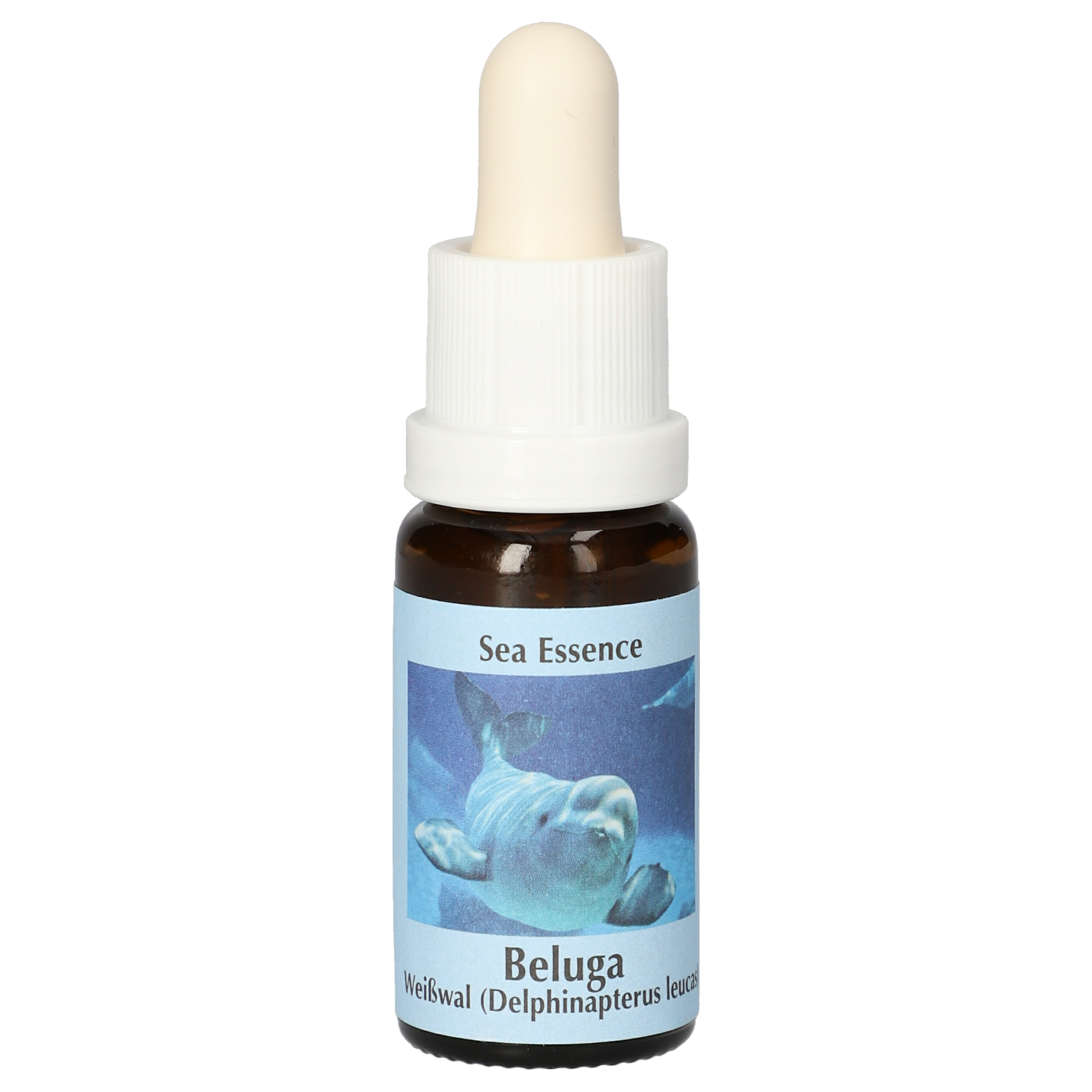 Beluga Essenz  Tropfen