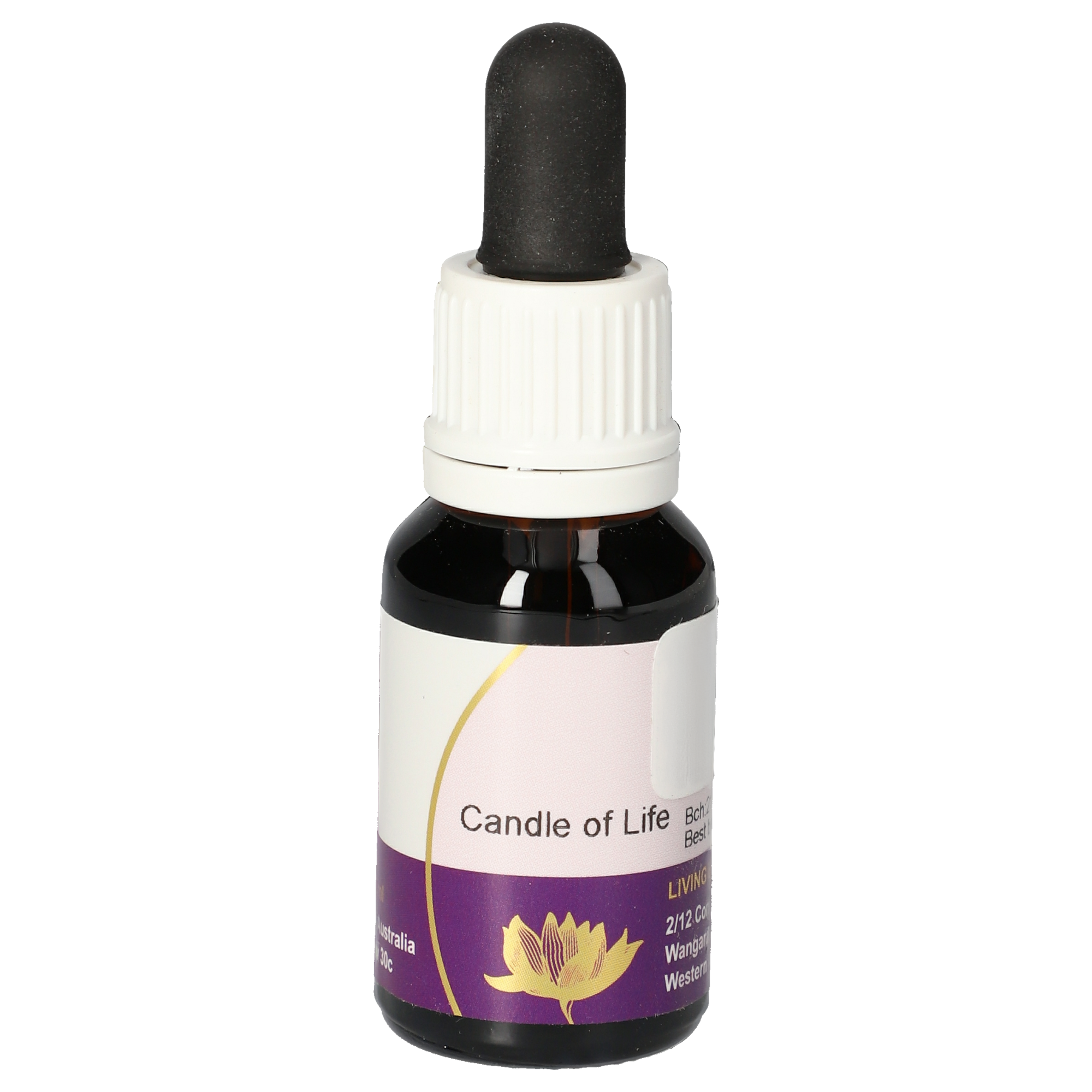 Candle of Life Tropfen