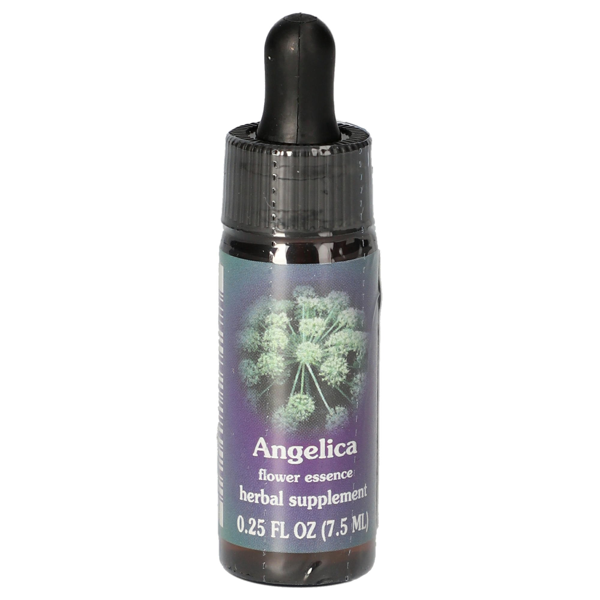 Angelica / Engelwurz Tropfen