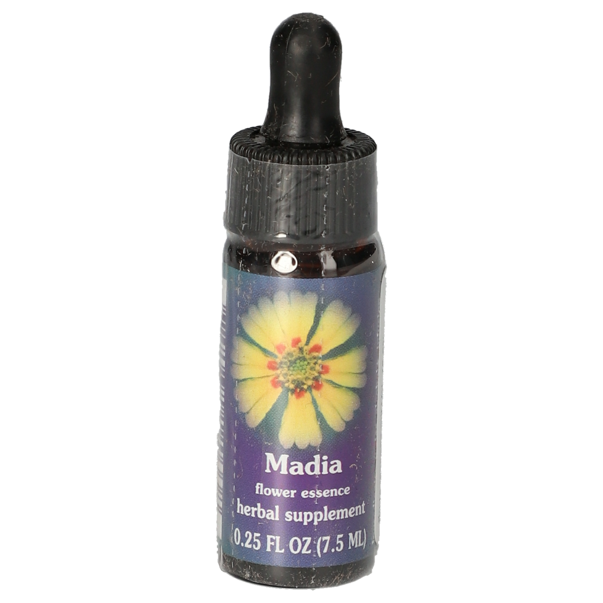 Madia / Madia elegans gouttes Madia / Madia elegans gouttes