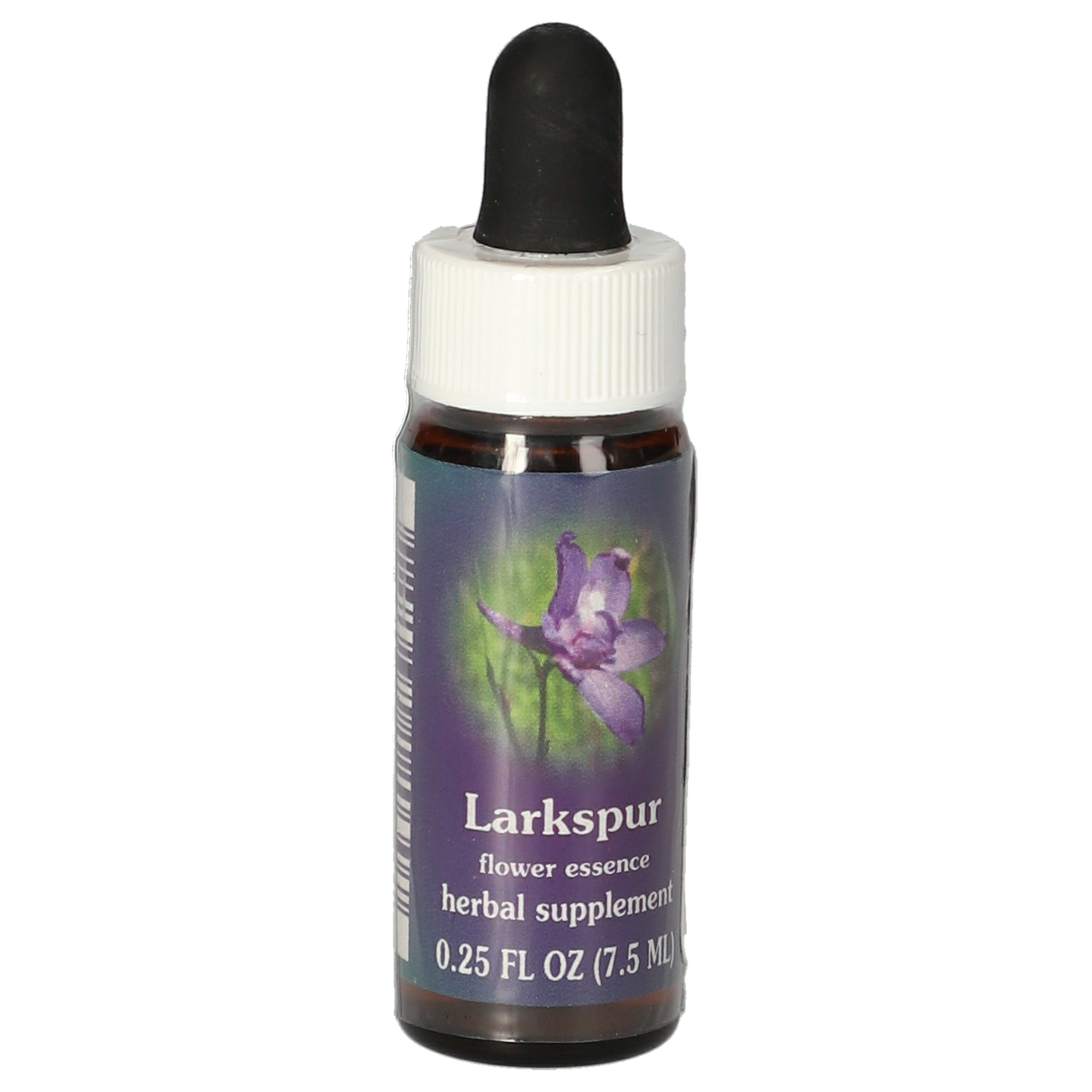 Larkspur / Delphinium gouttes Larkspur / Delphinium gouttes