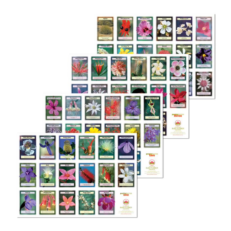 Posters Set (4 pièces, 43 x 61 cm) Posters Set (4 pièces, 43 x 61 cm)