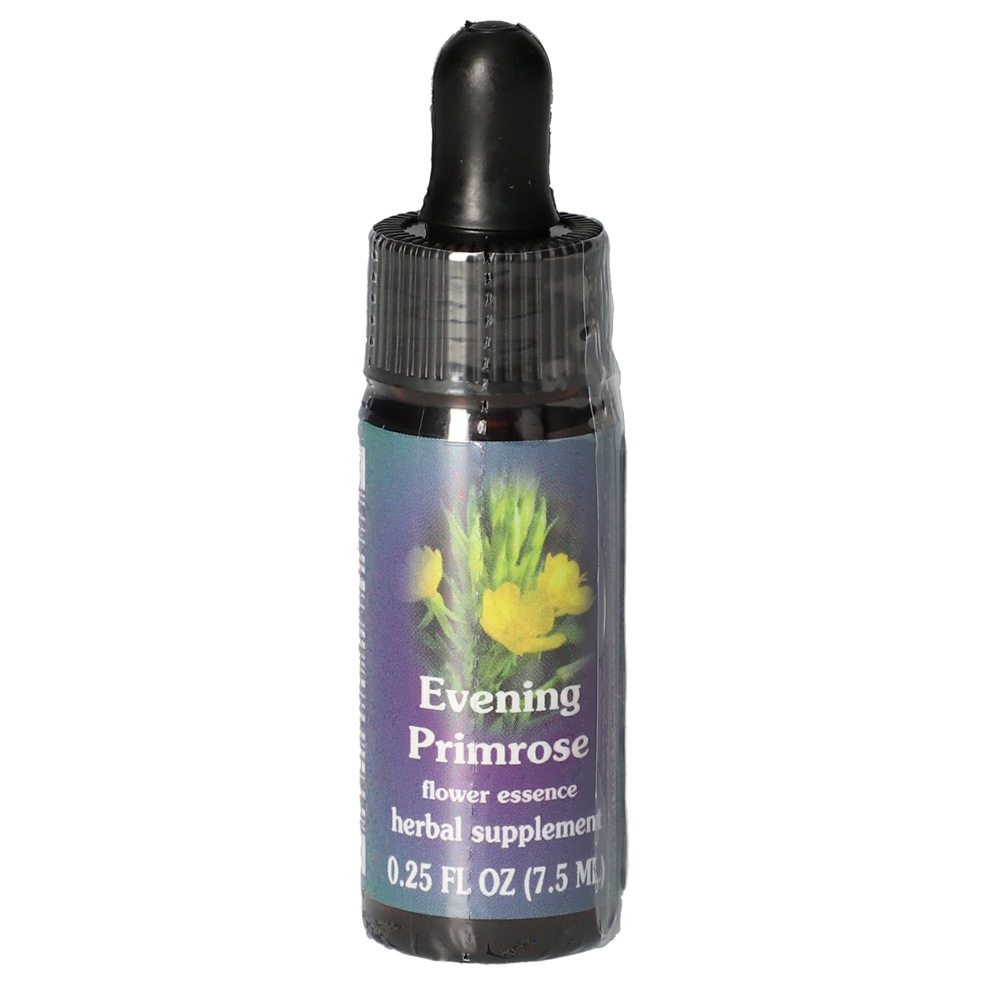 Evening Primrose / OEnothère gouttes