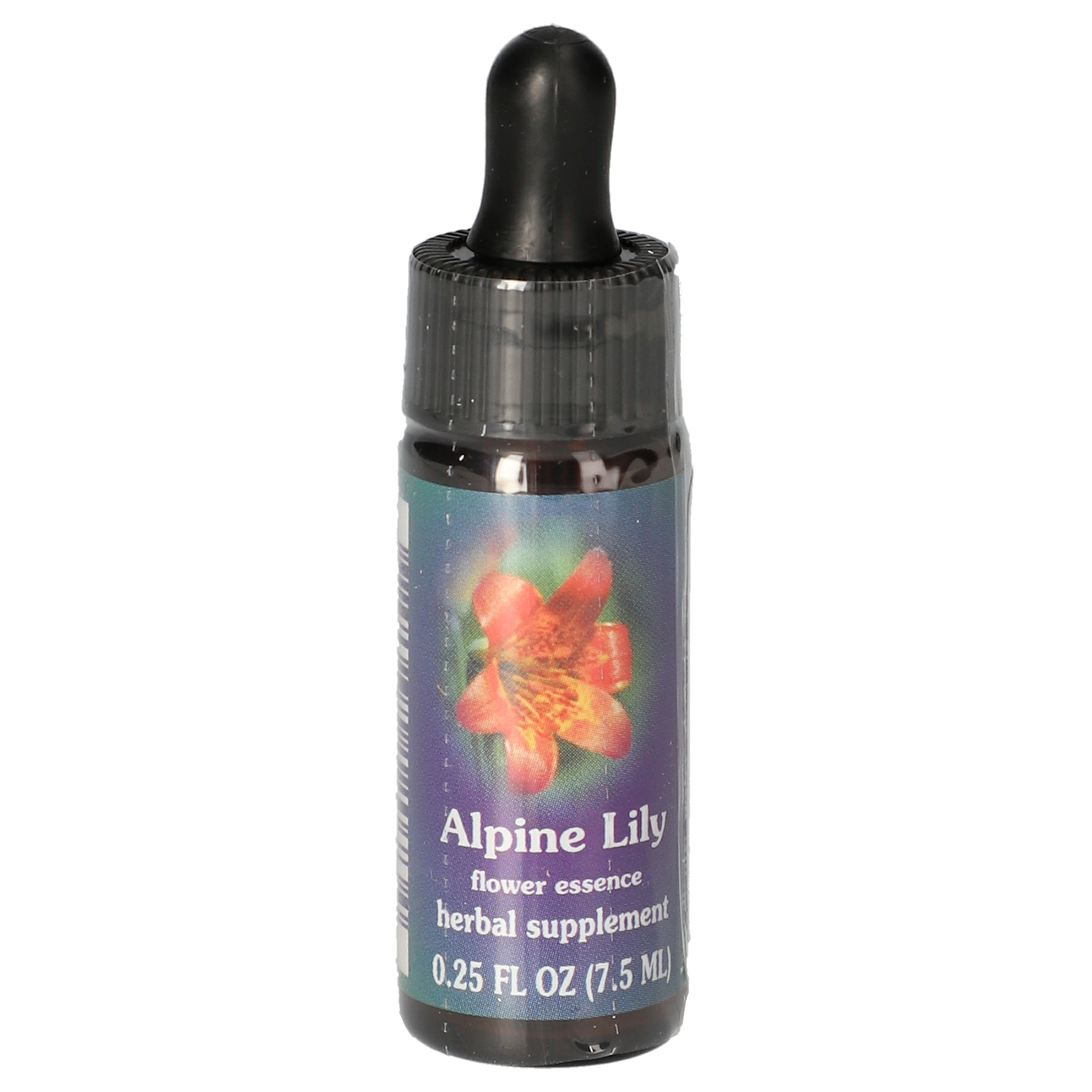 Alpine Lily / Alpenlilie Tropfen