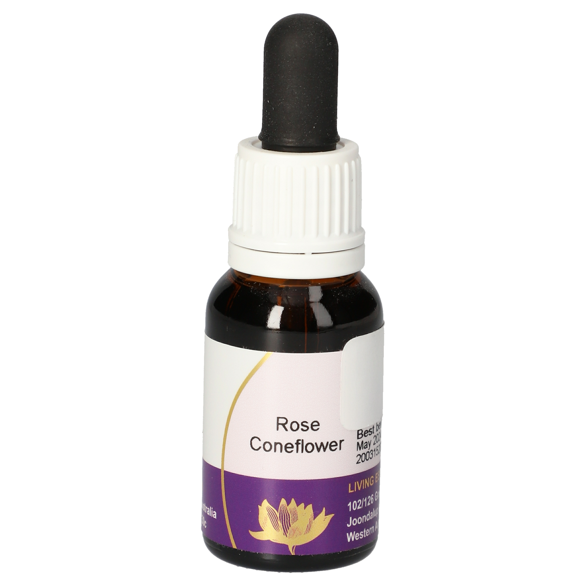 Rose Coneflower gouttes